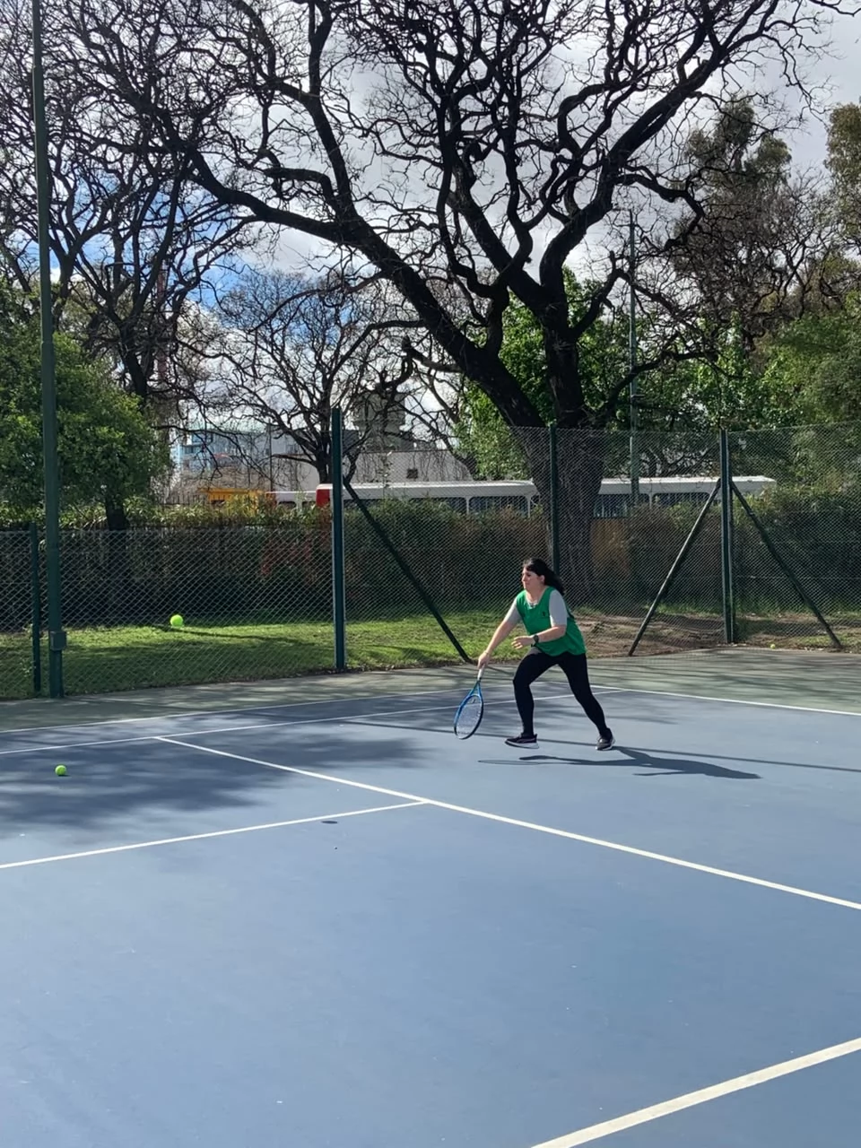 Tenis