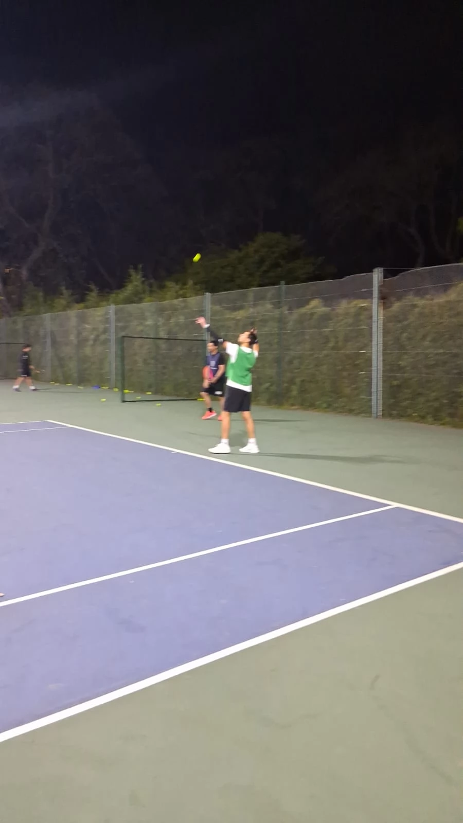 Tenis