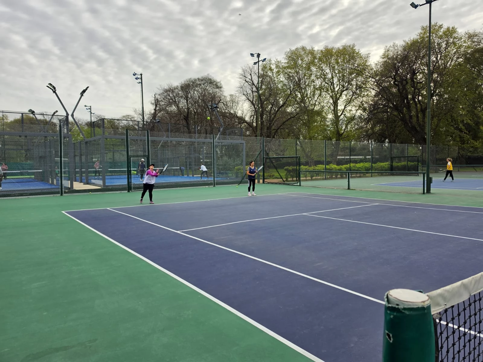 Tenis