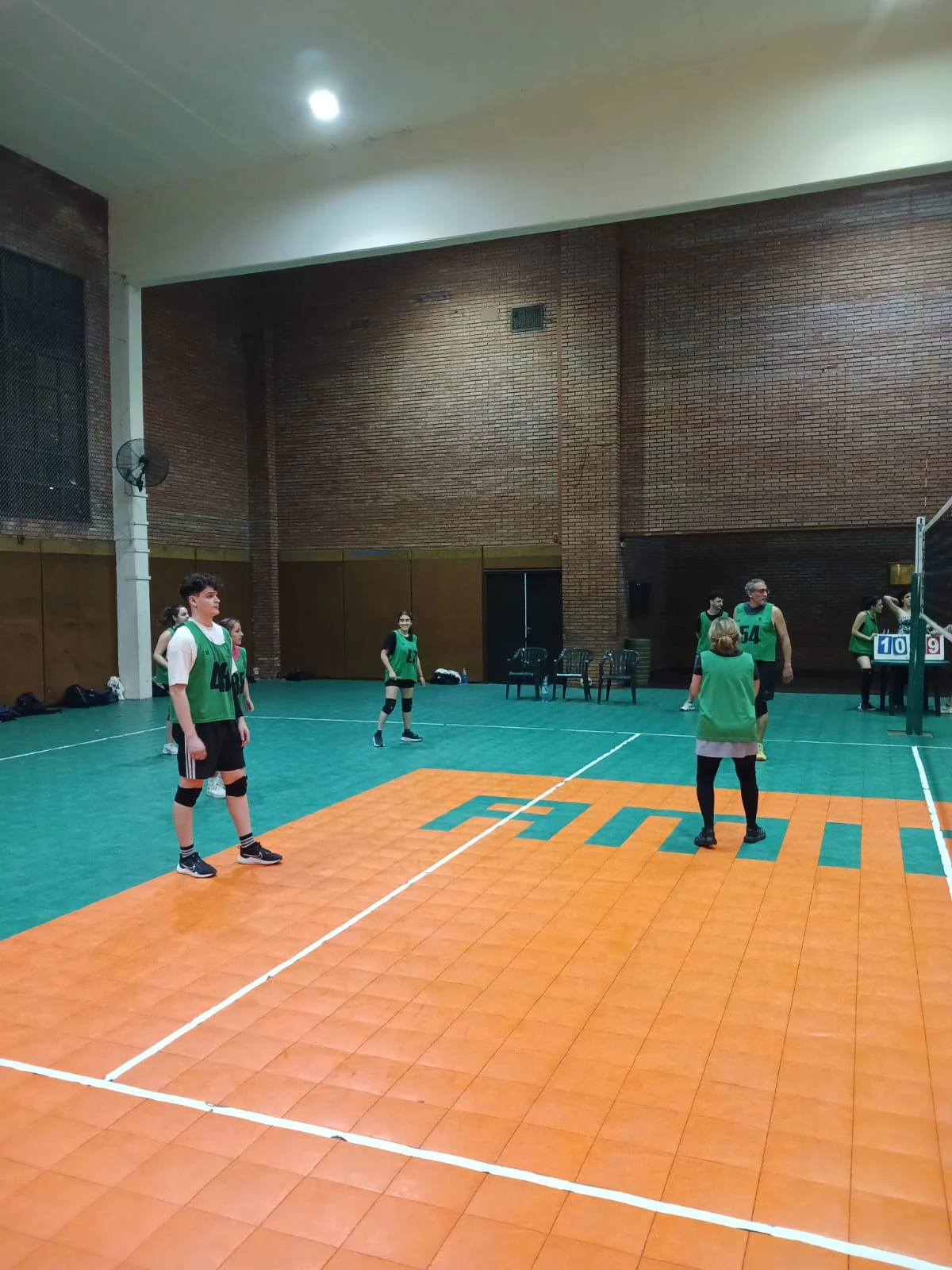 Voley