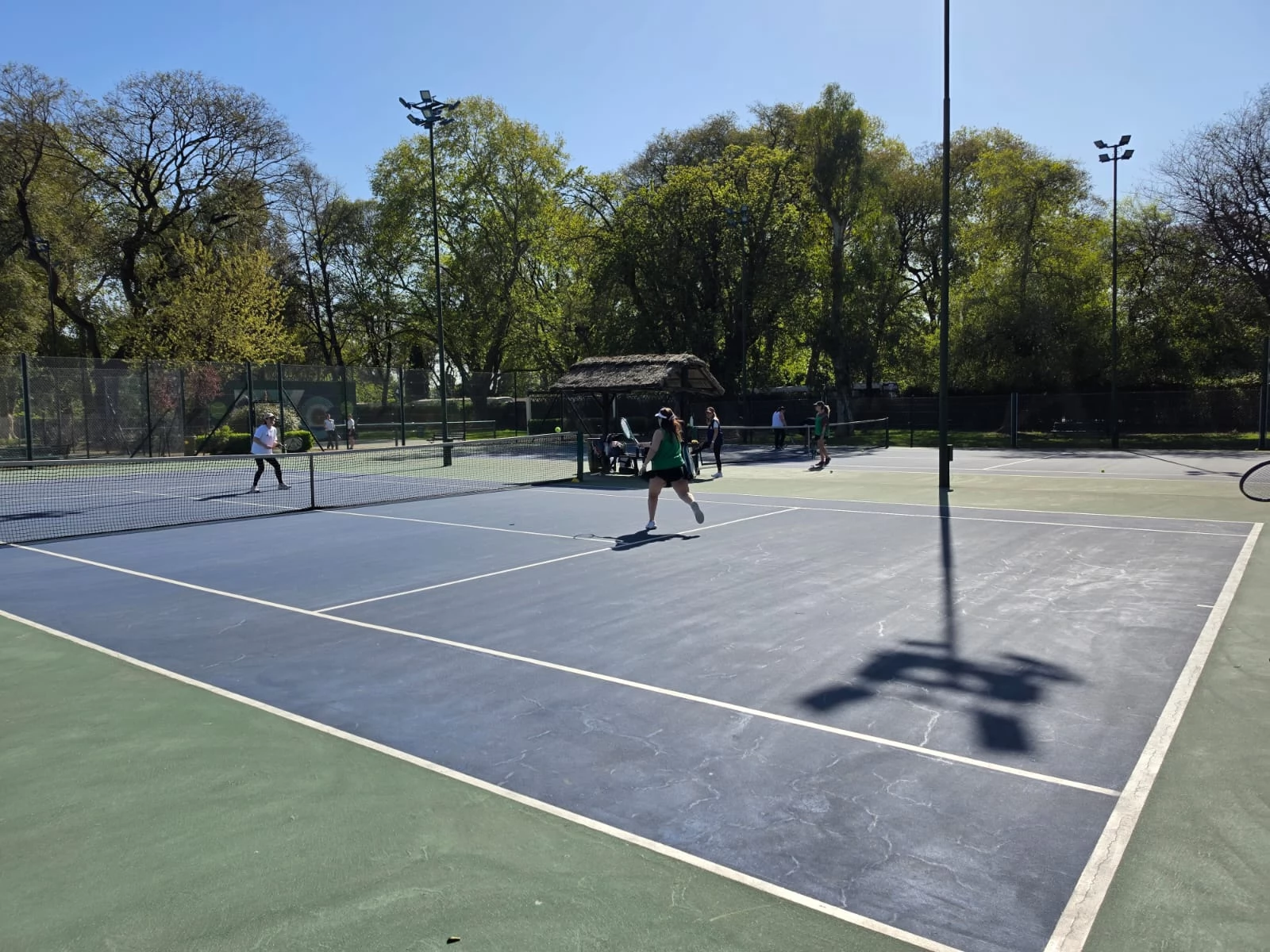 Tenis