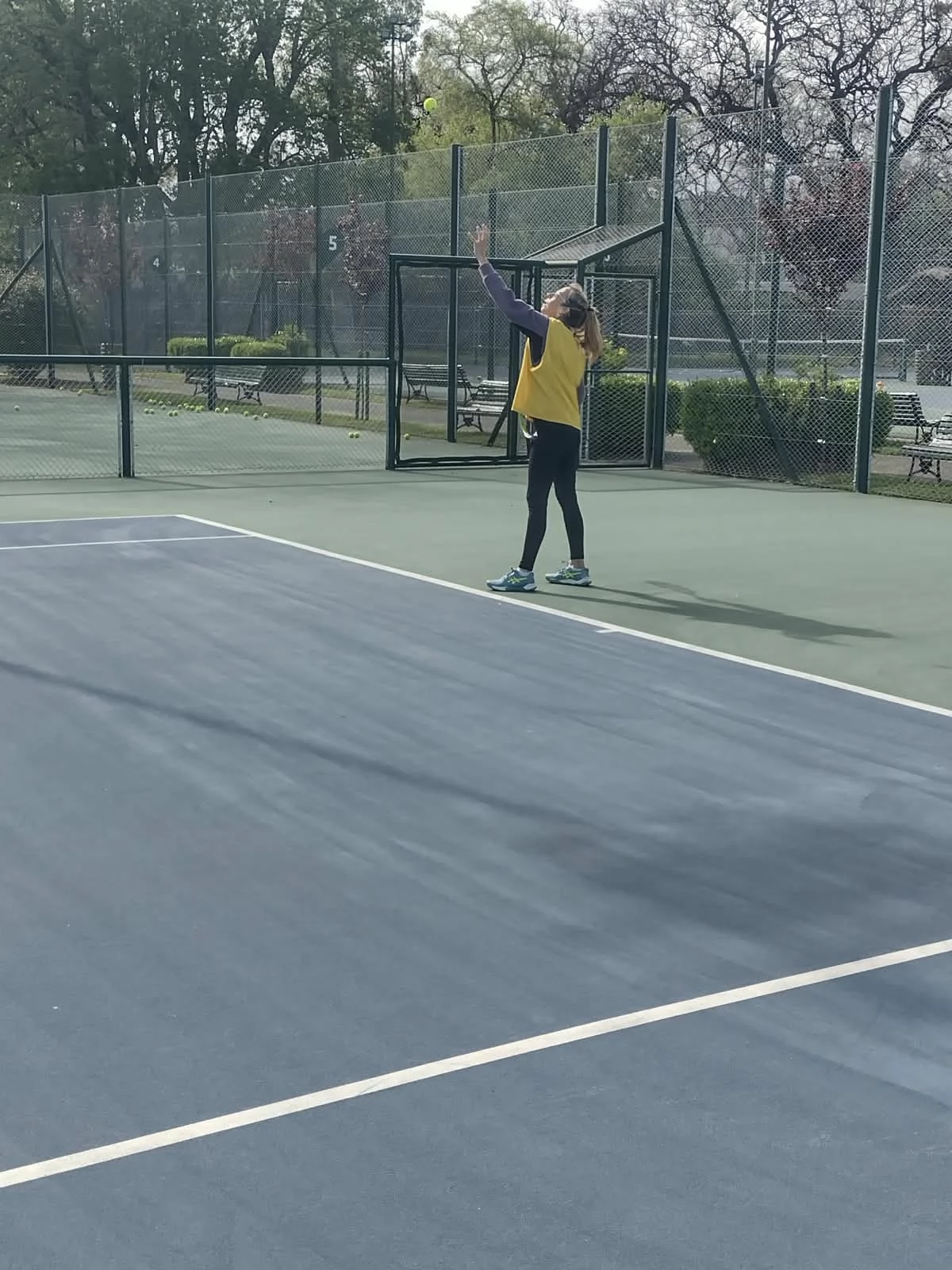 Tenis