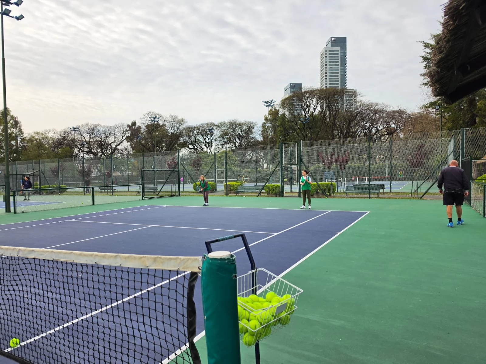 Tenis