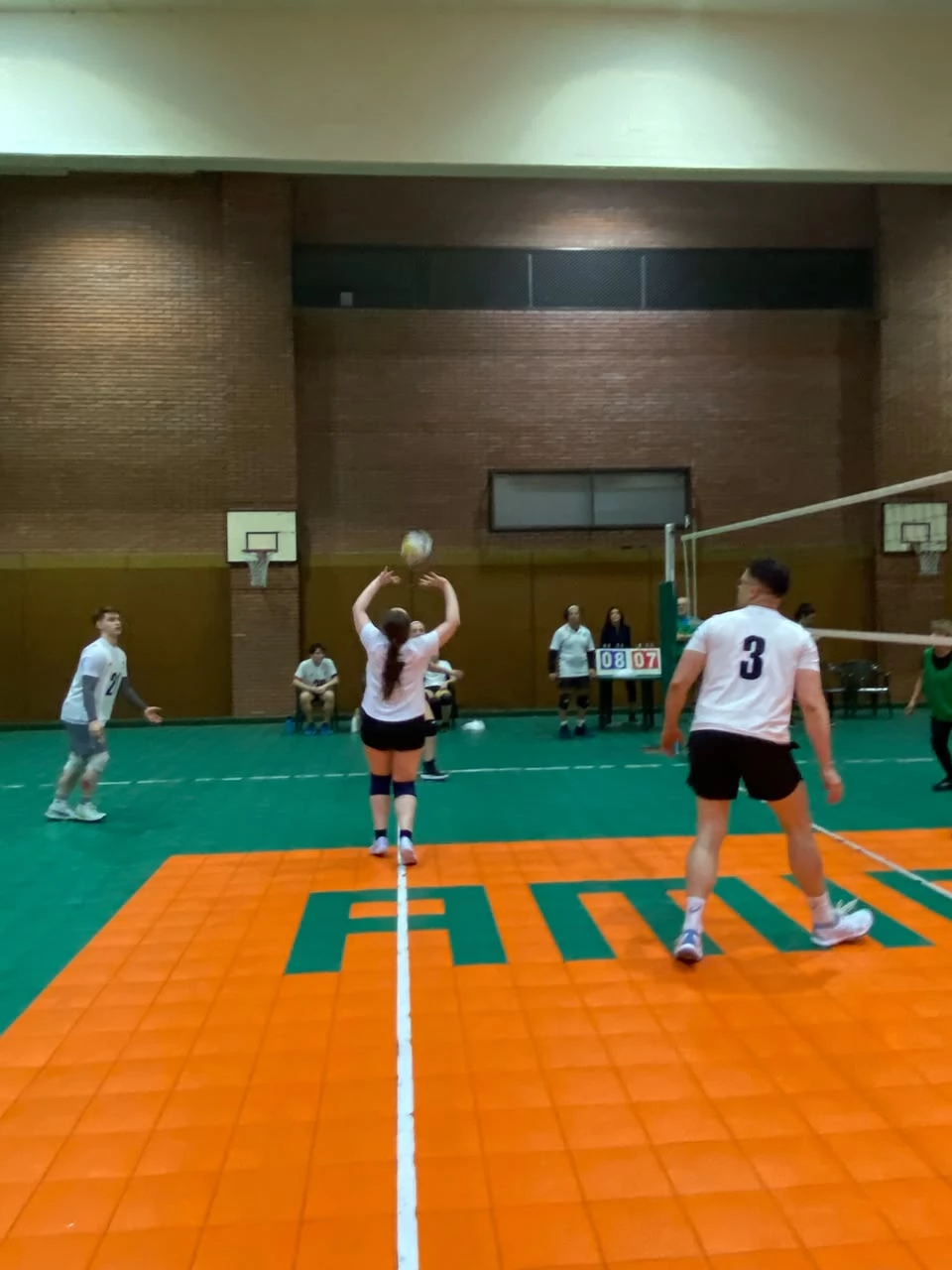 Voley