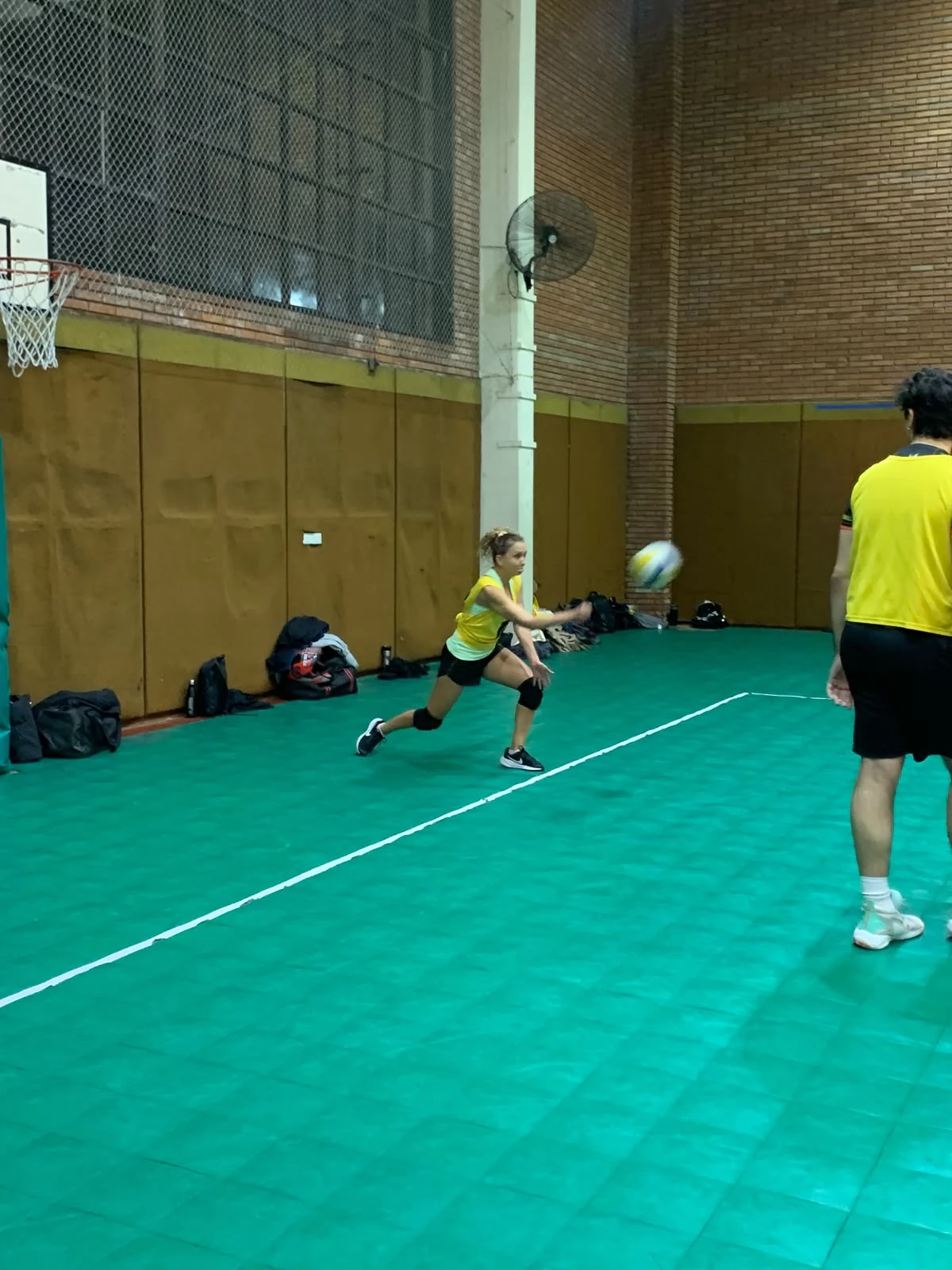 Voley