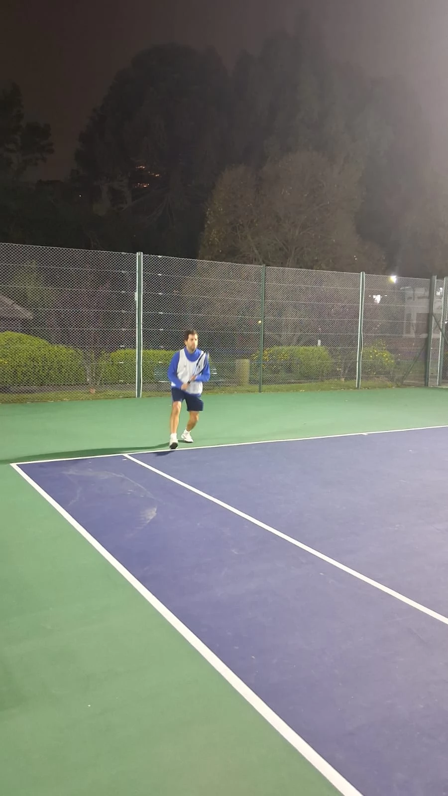 Tenis