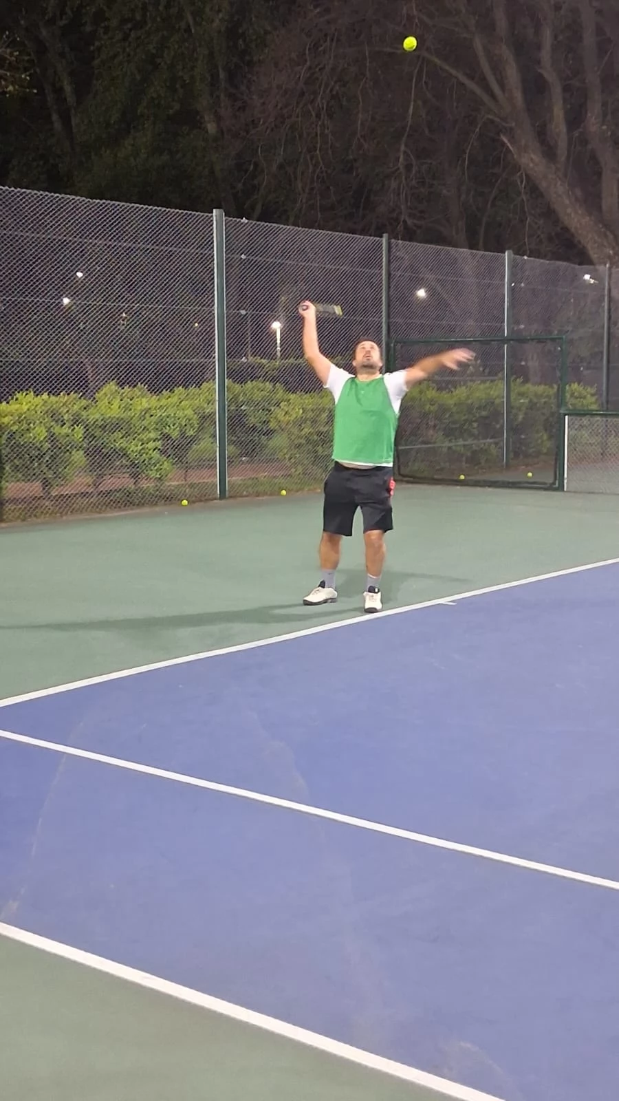 Tenis