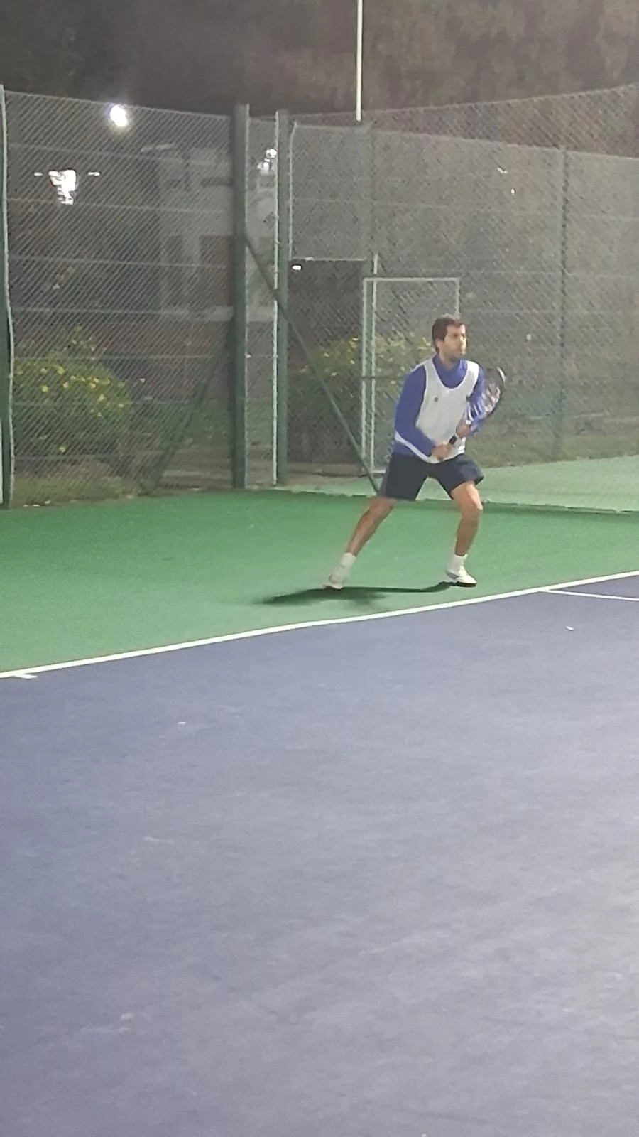 Tenis