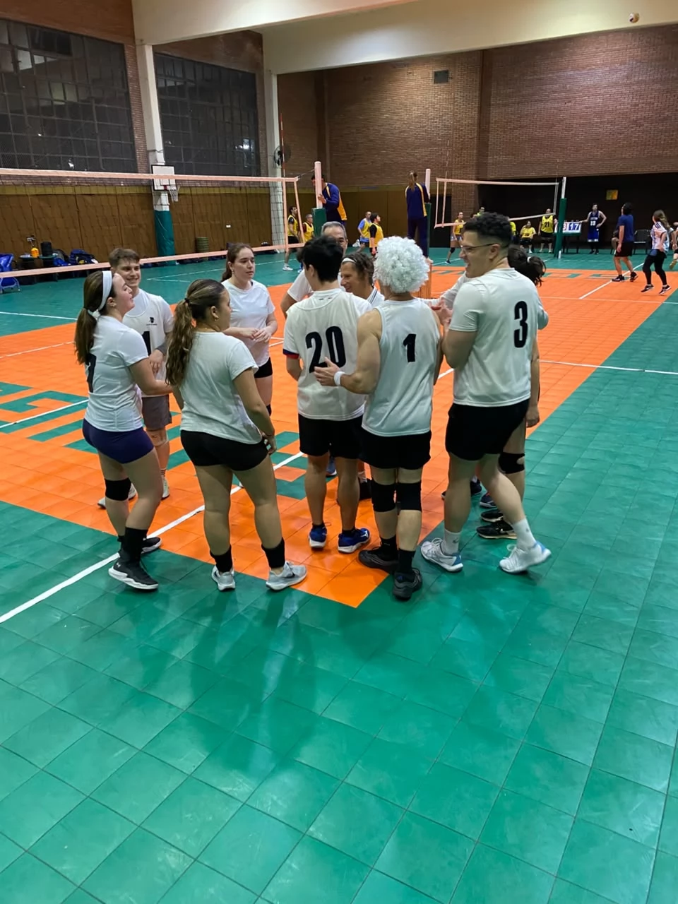 Voley