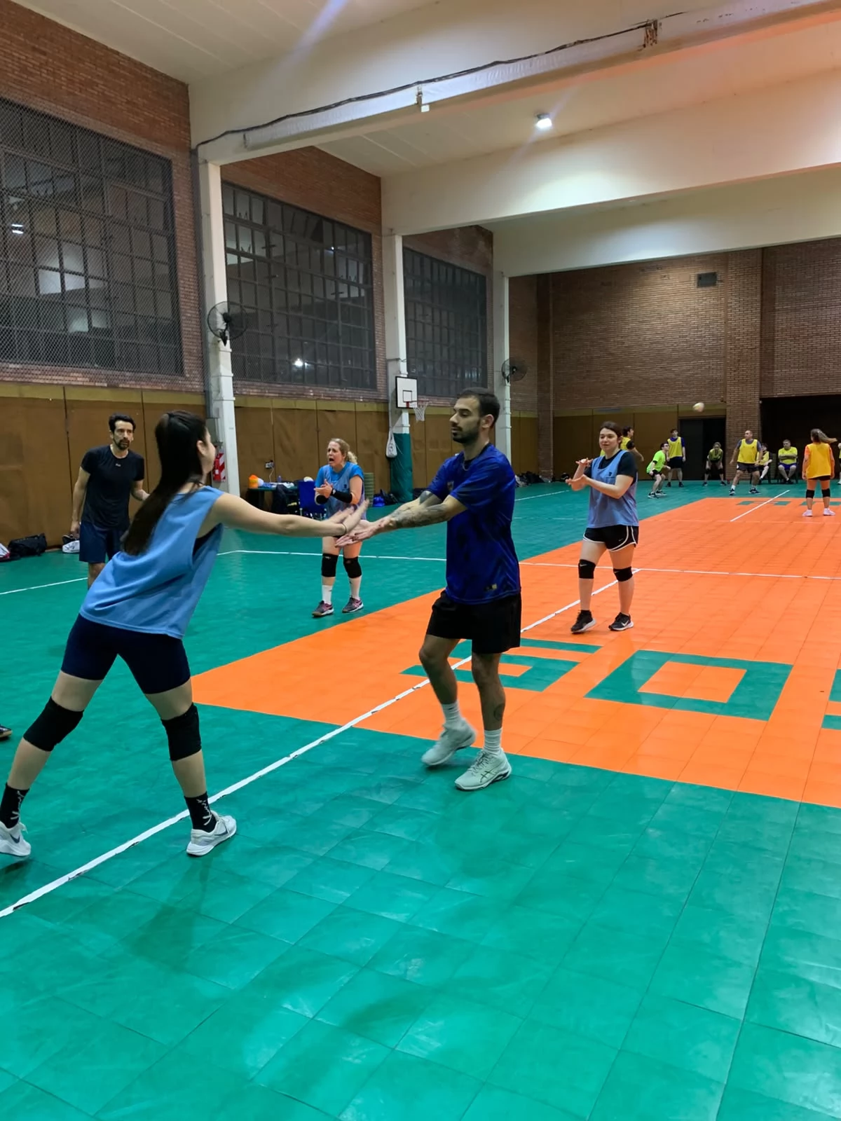 Voley