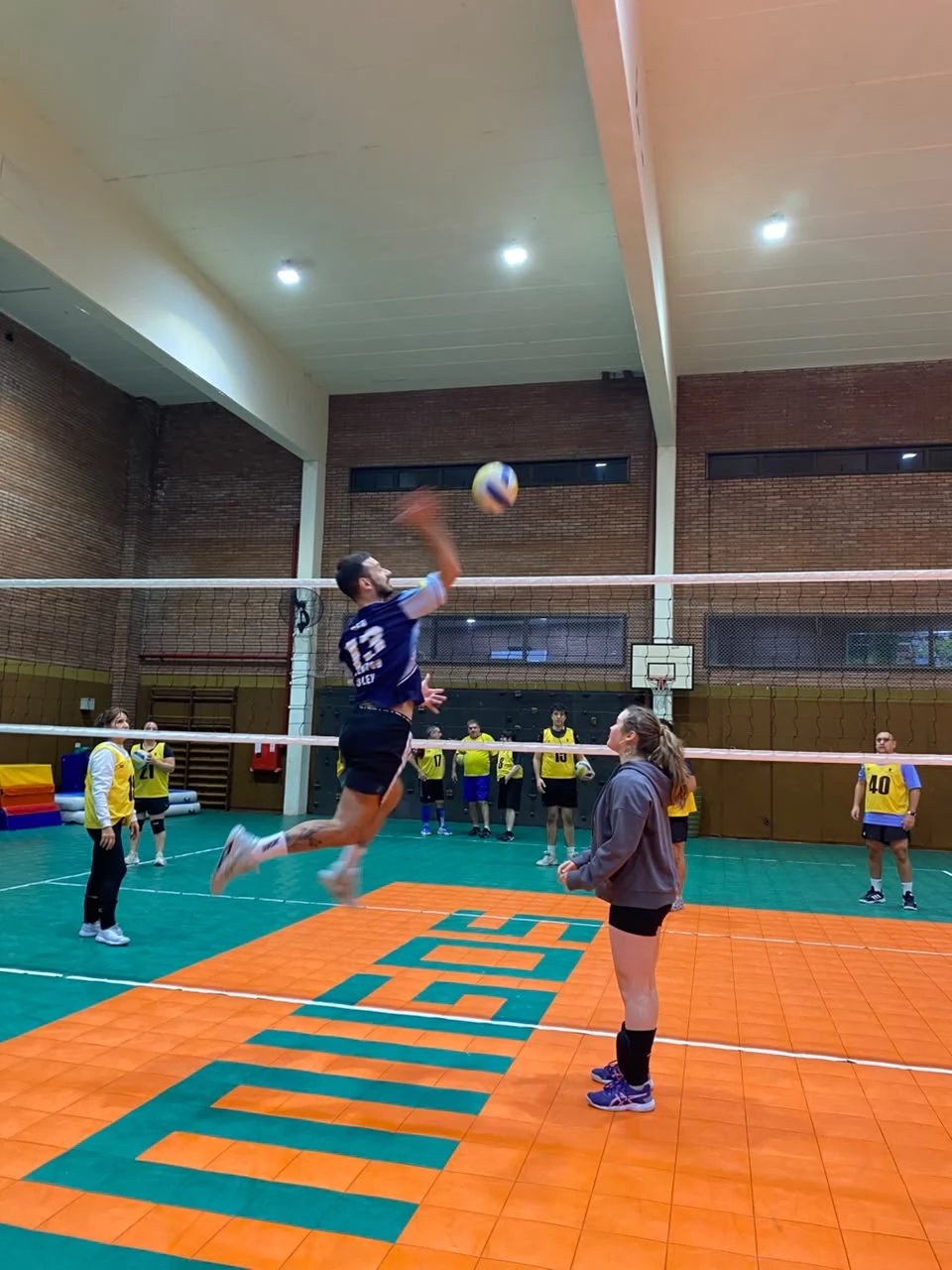 Voley
