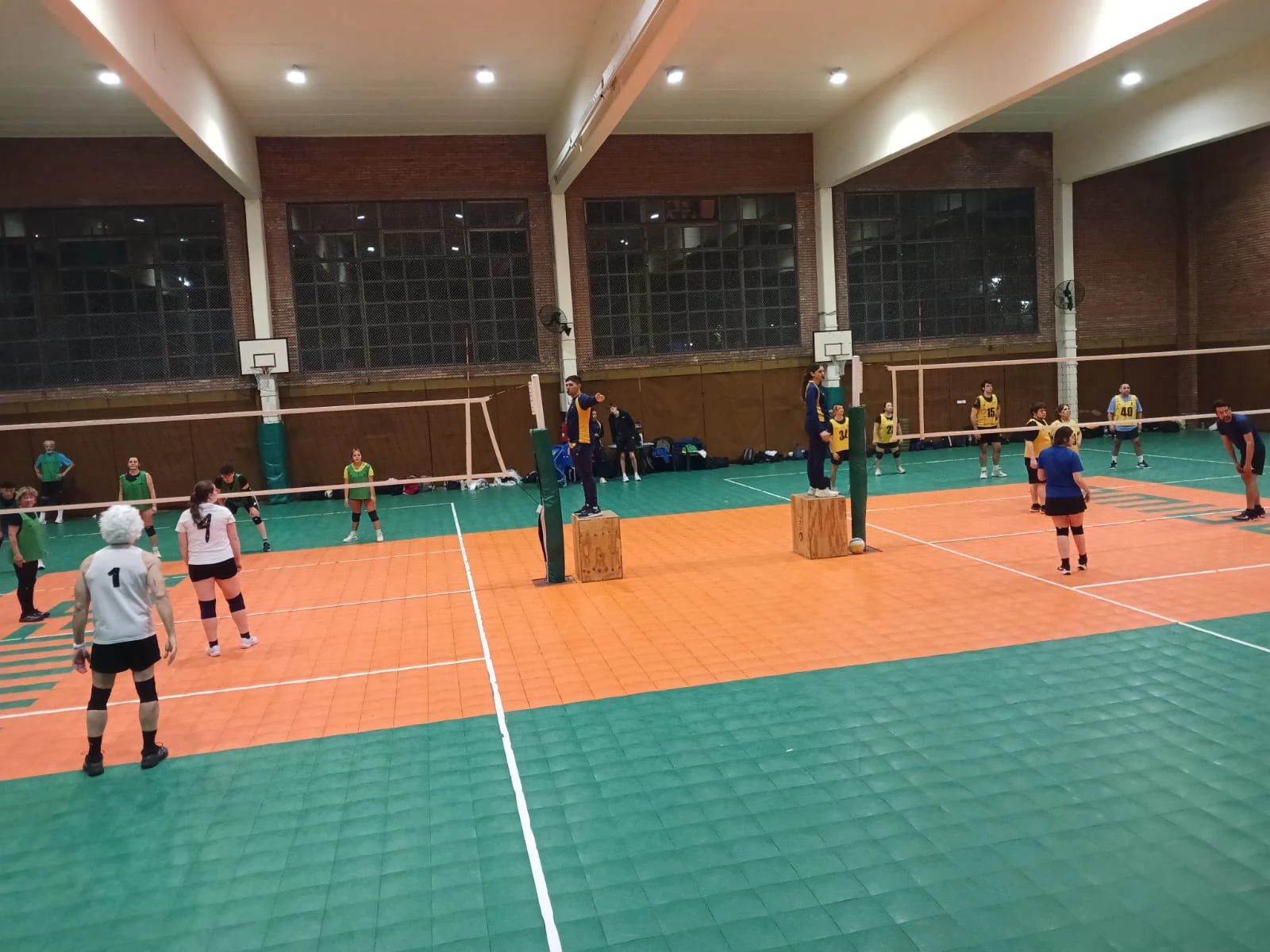 Voley