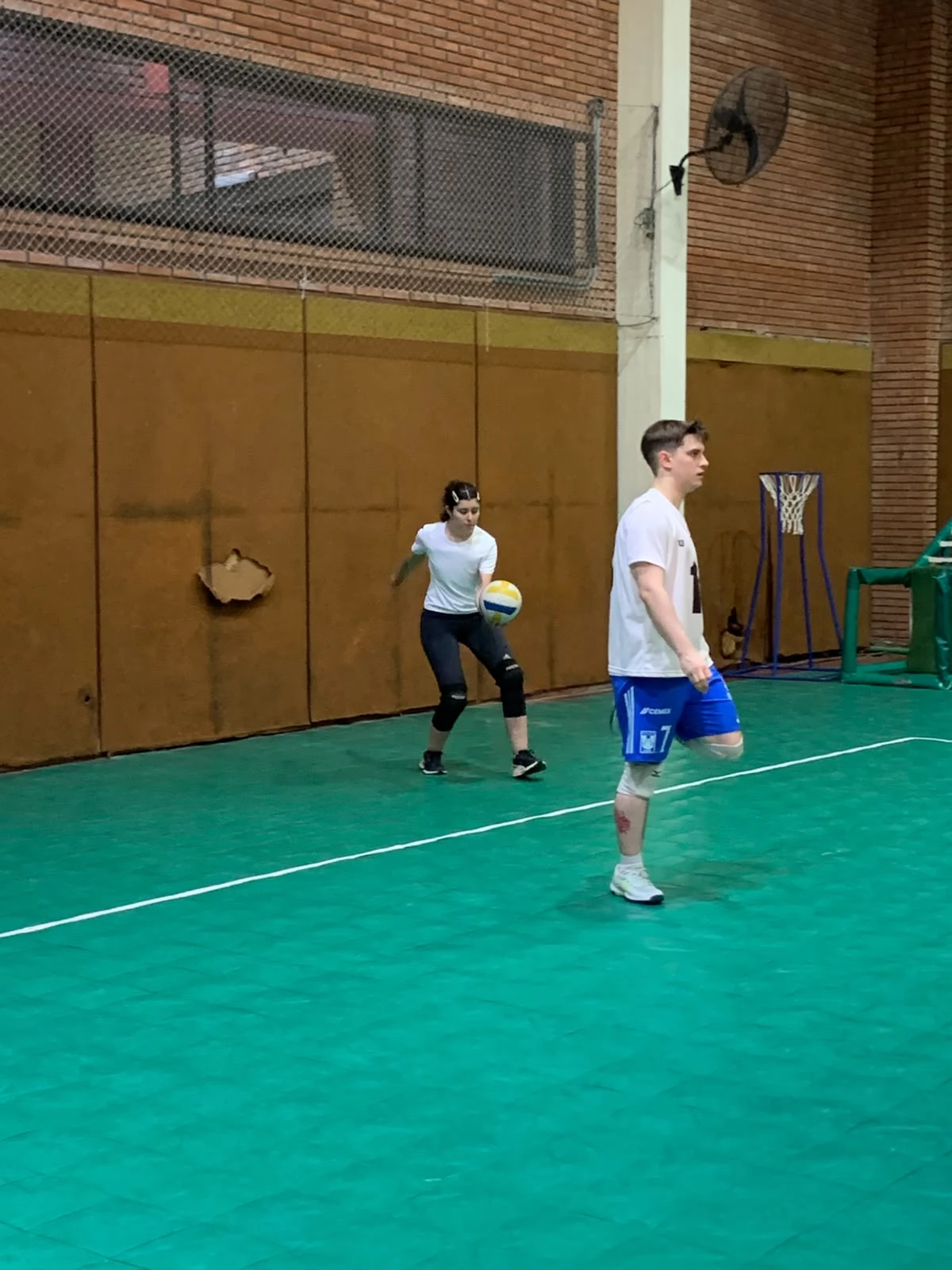 Voley