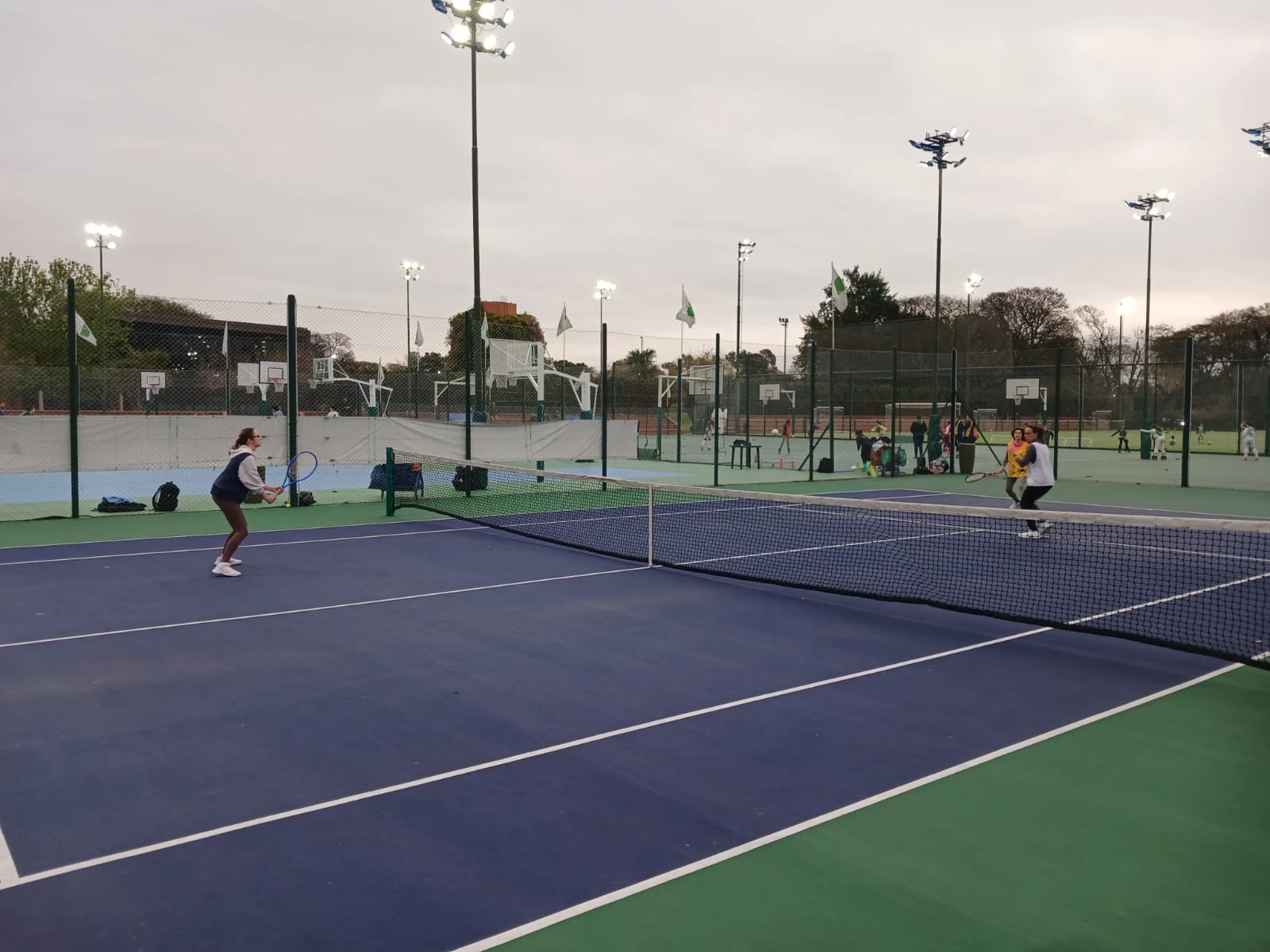 Tenis