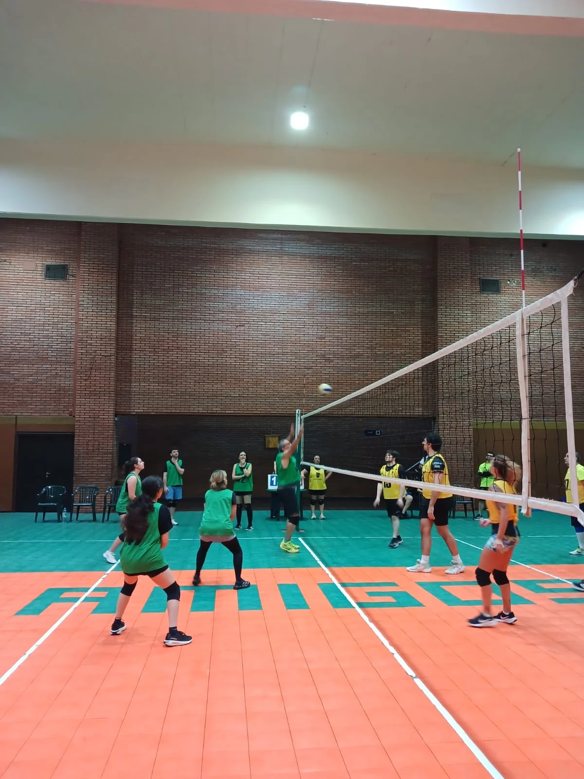 Voley