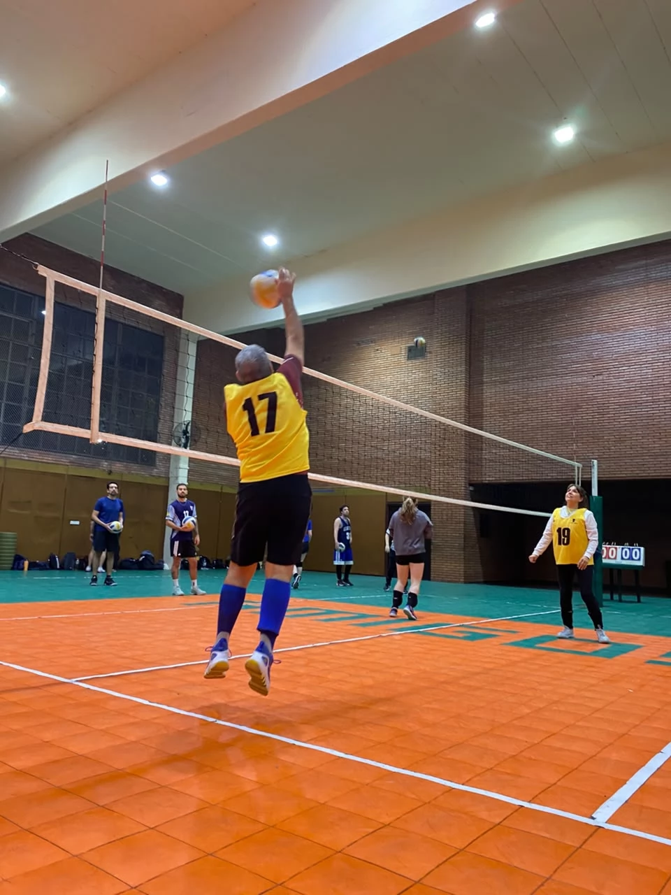 Voley
