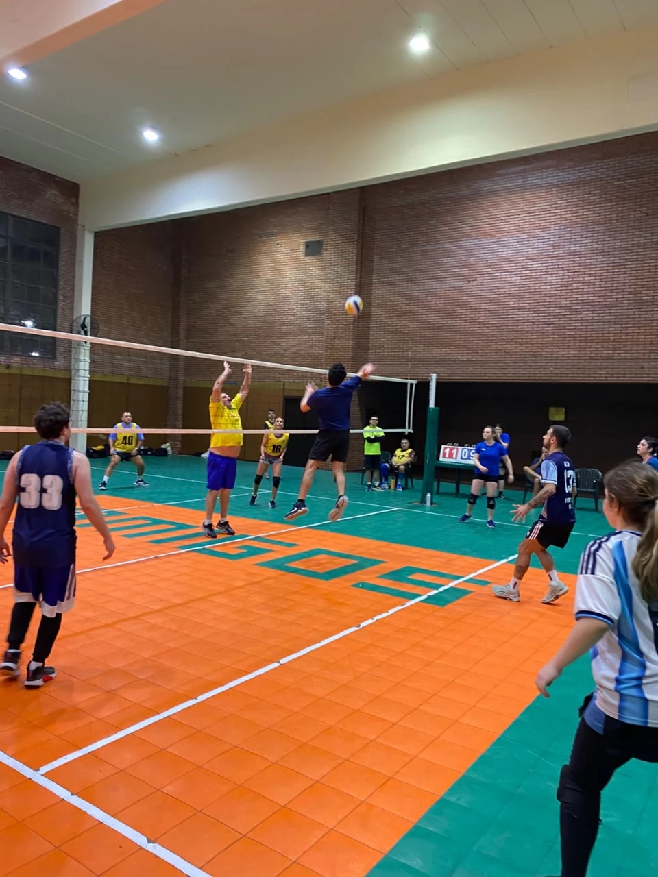 Voley