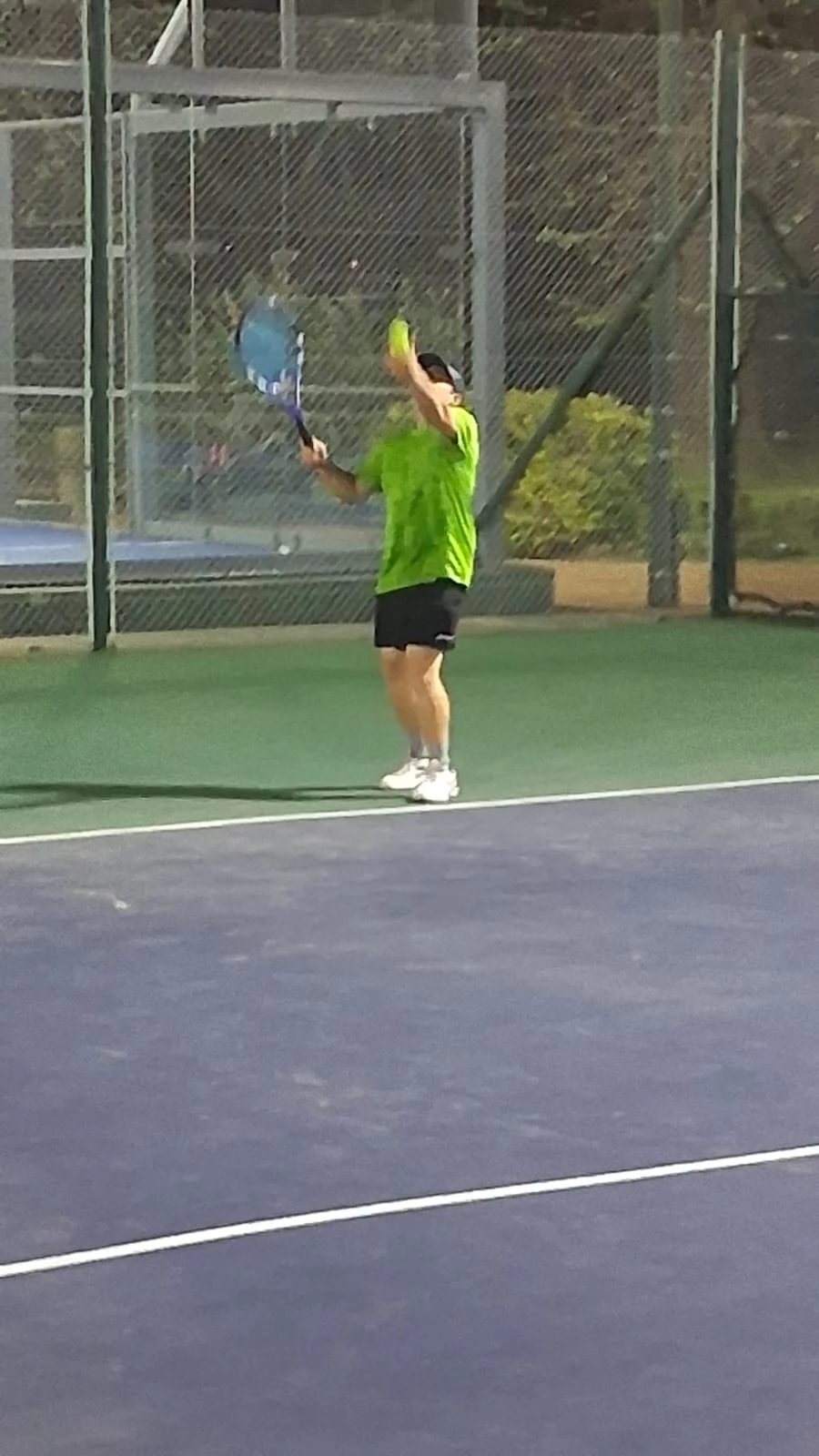 Tenis