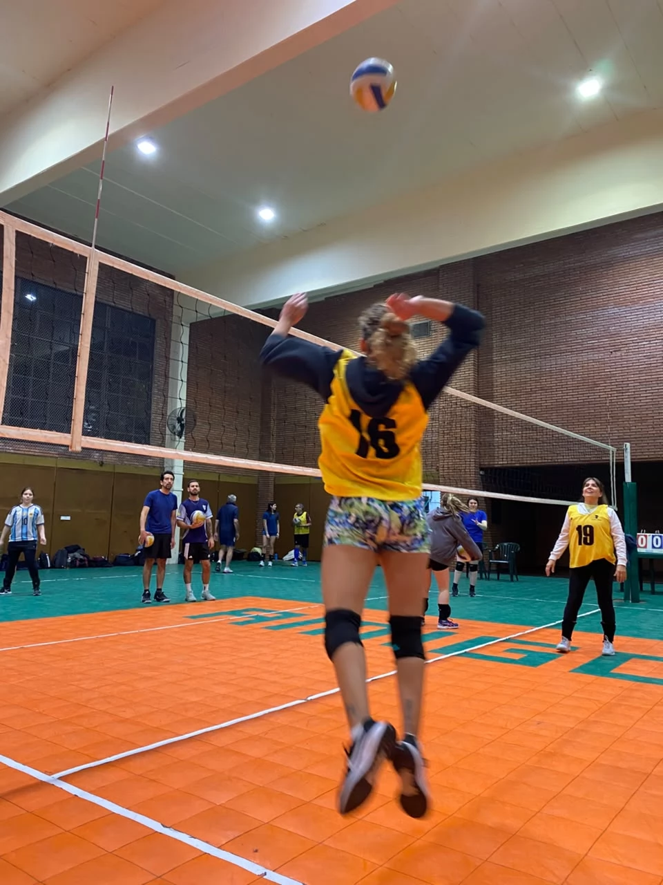 Voley
