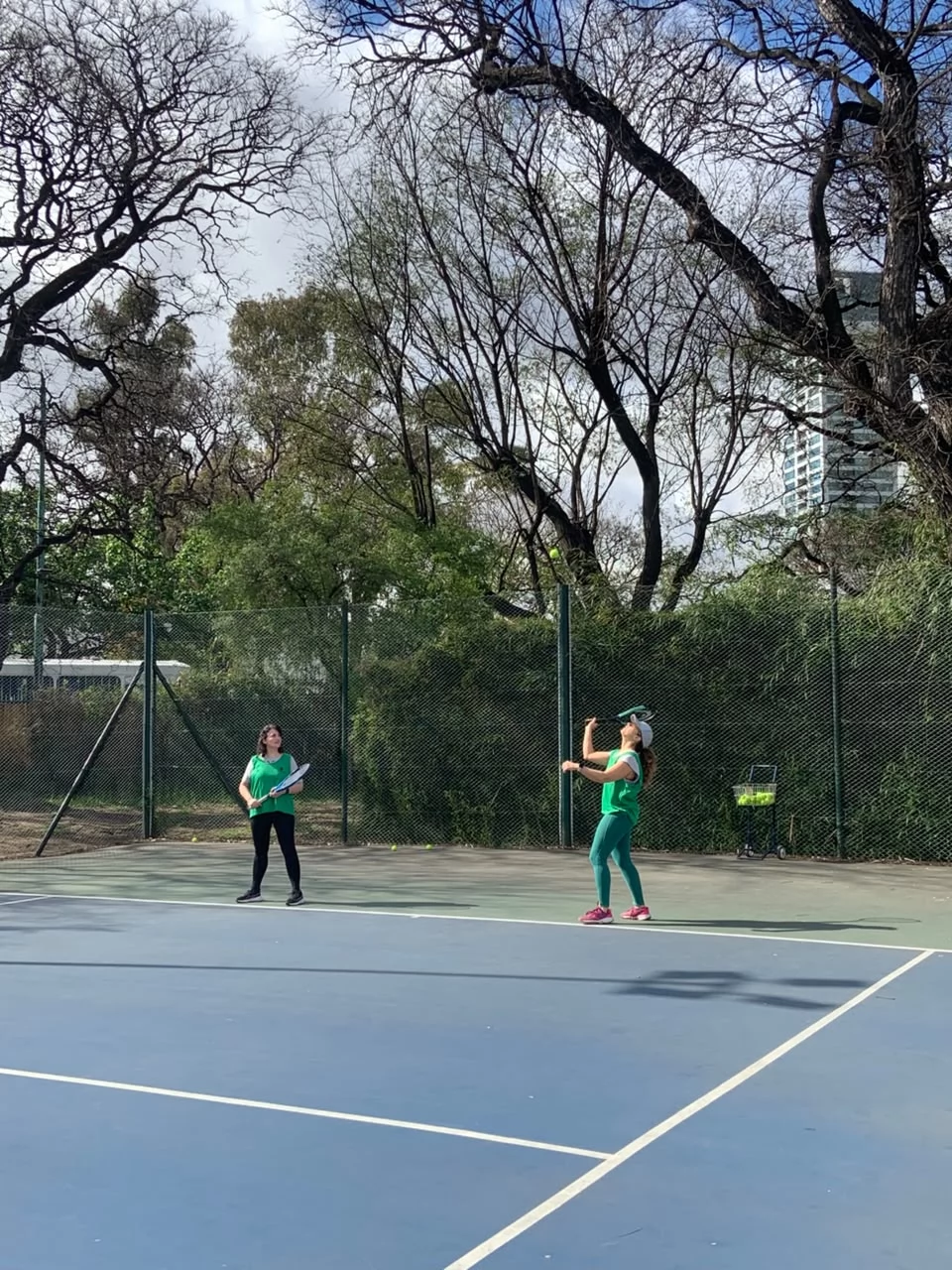 Tenis