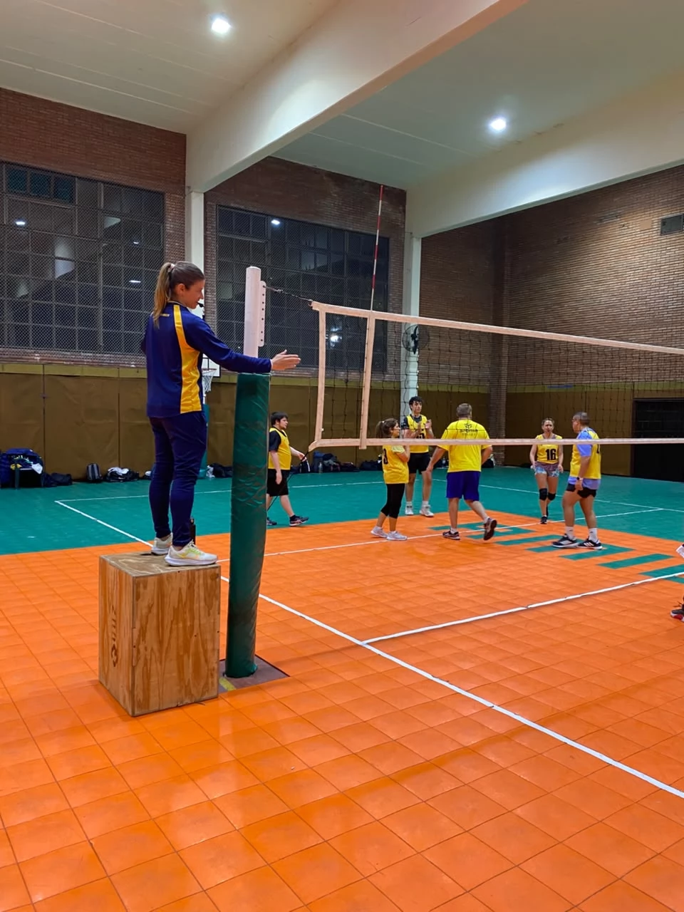 Voley