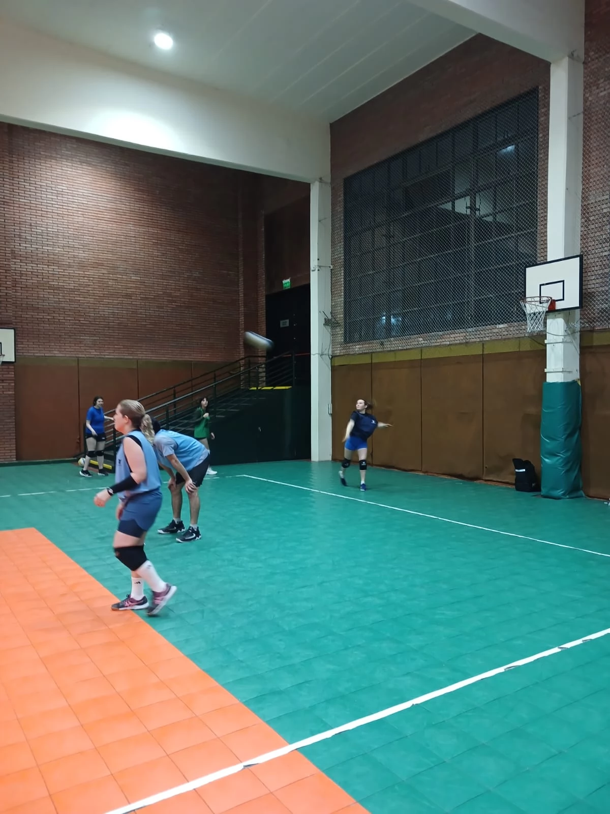 Voley