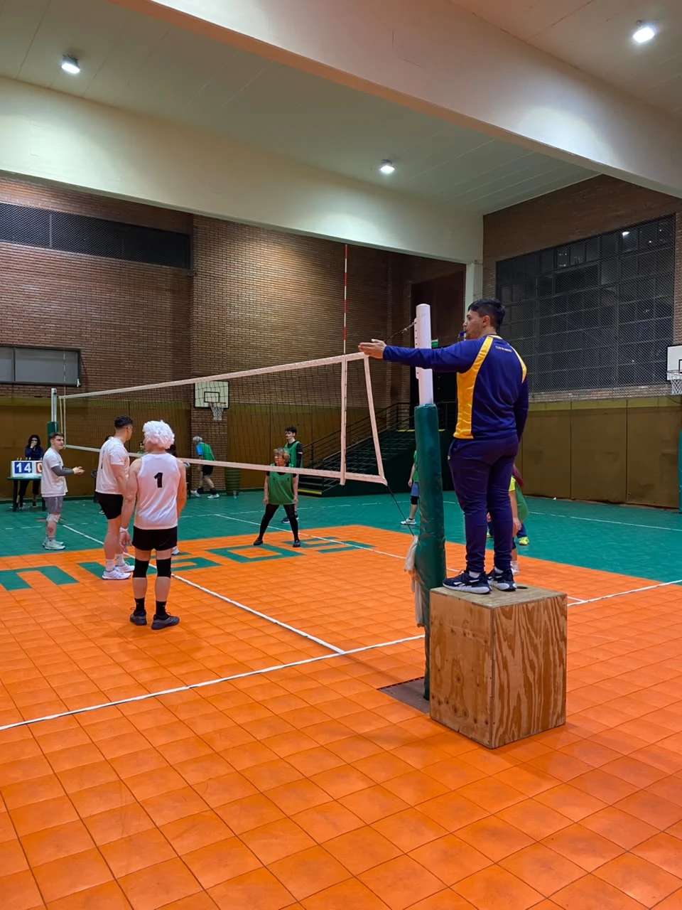 Voley