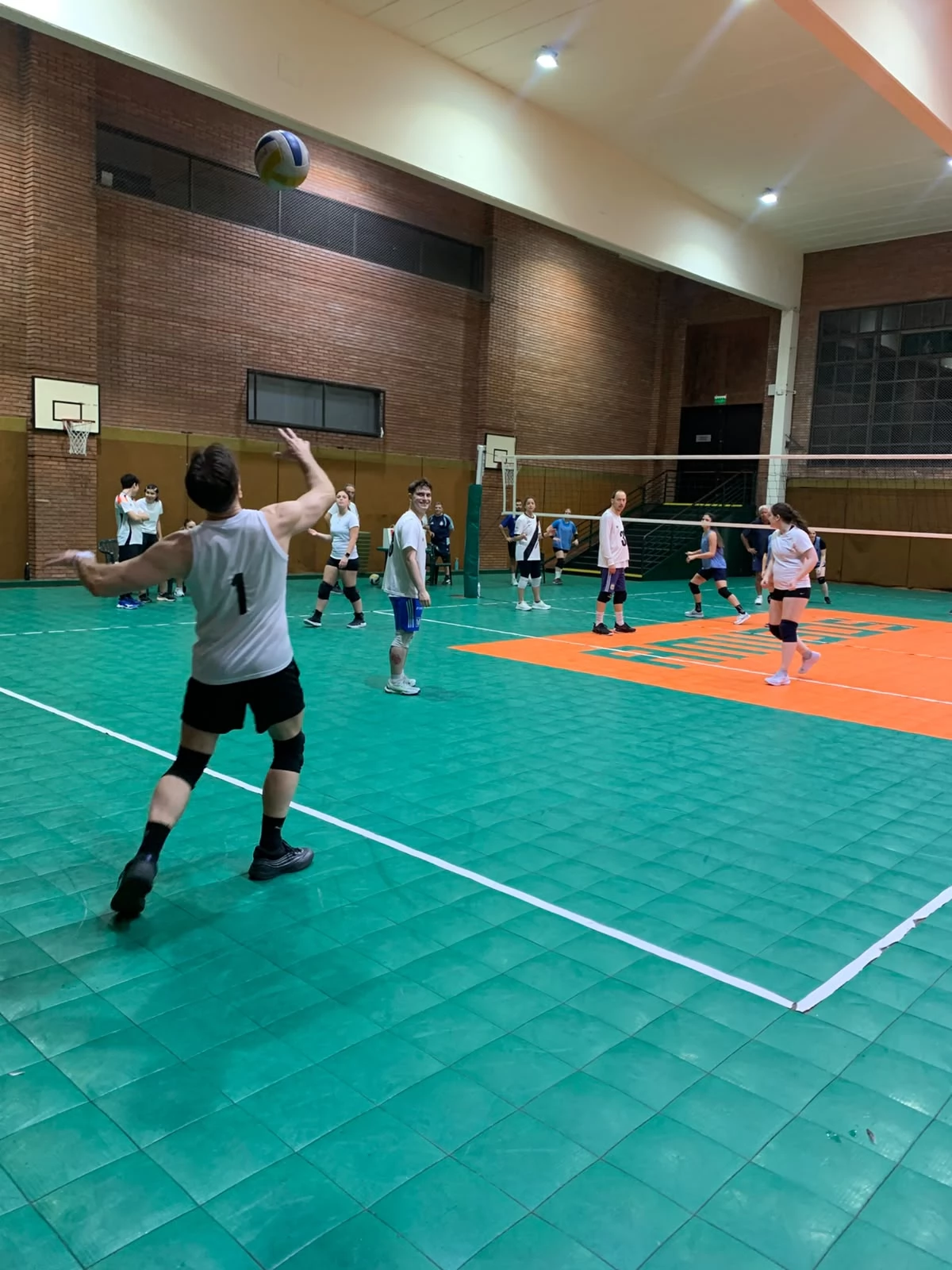 Voley