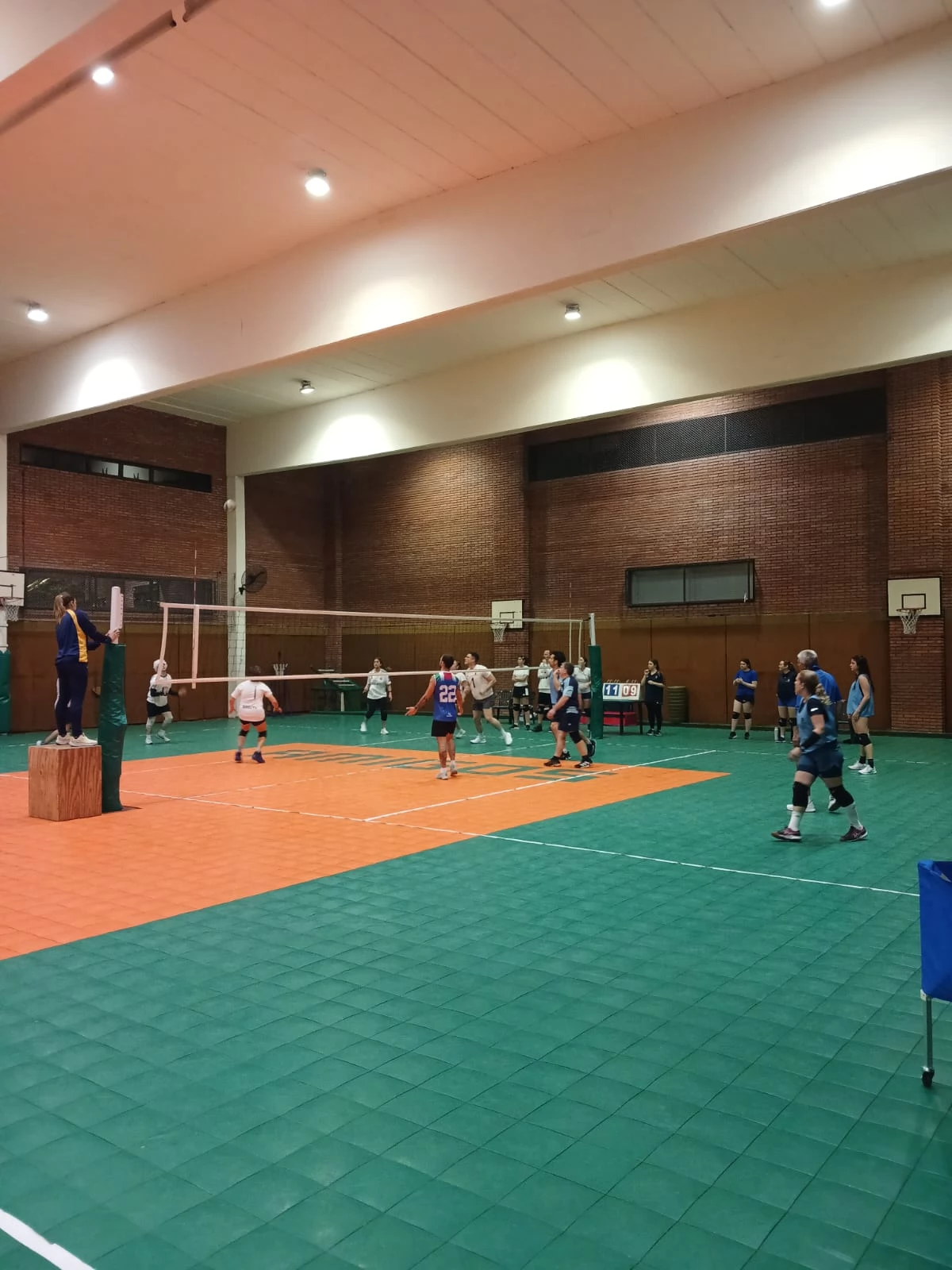 Voley