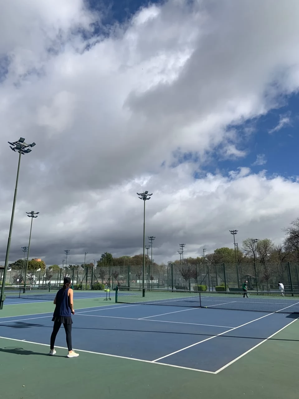 Tenis