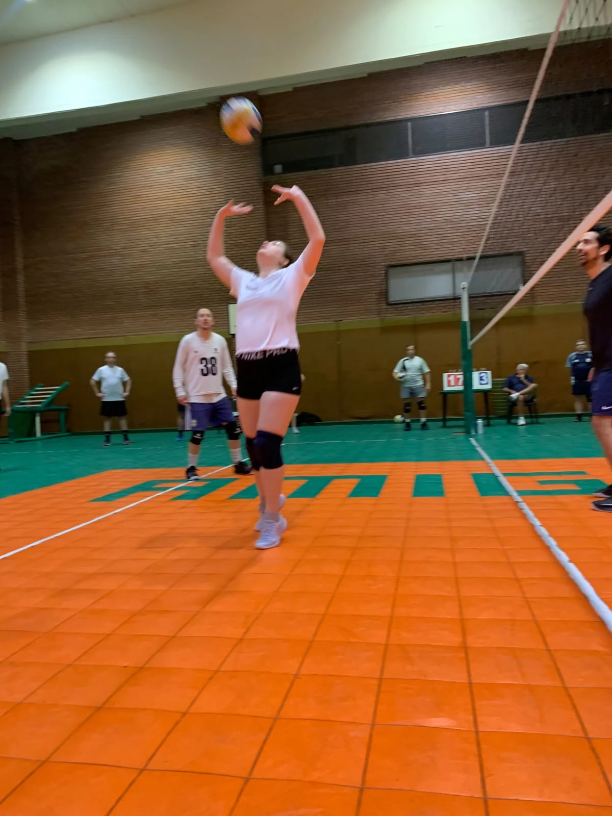 Voley