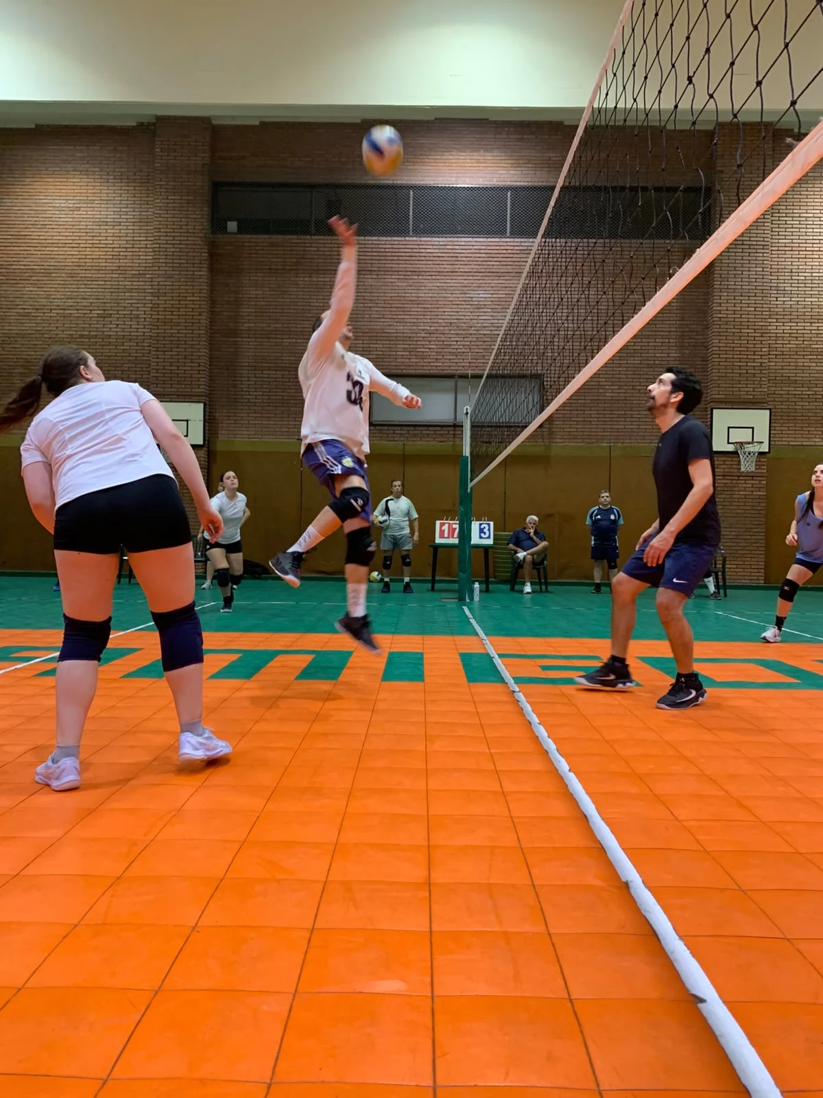 Voley