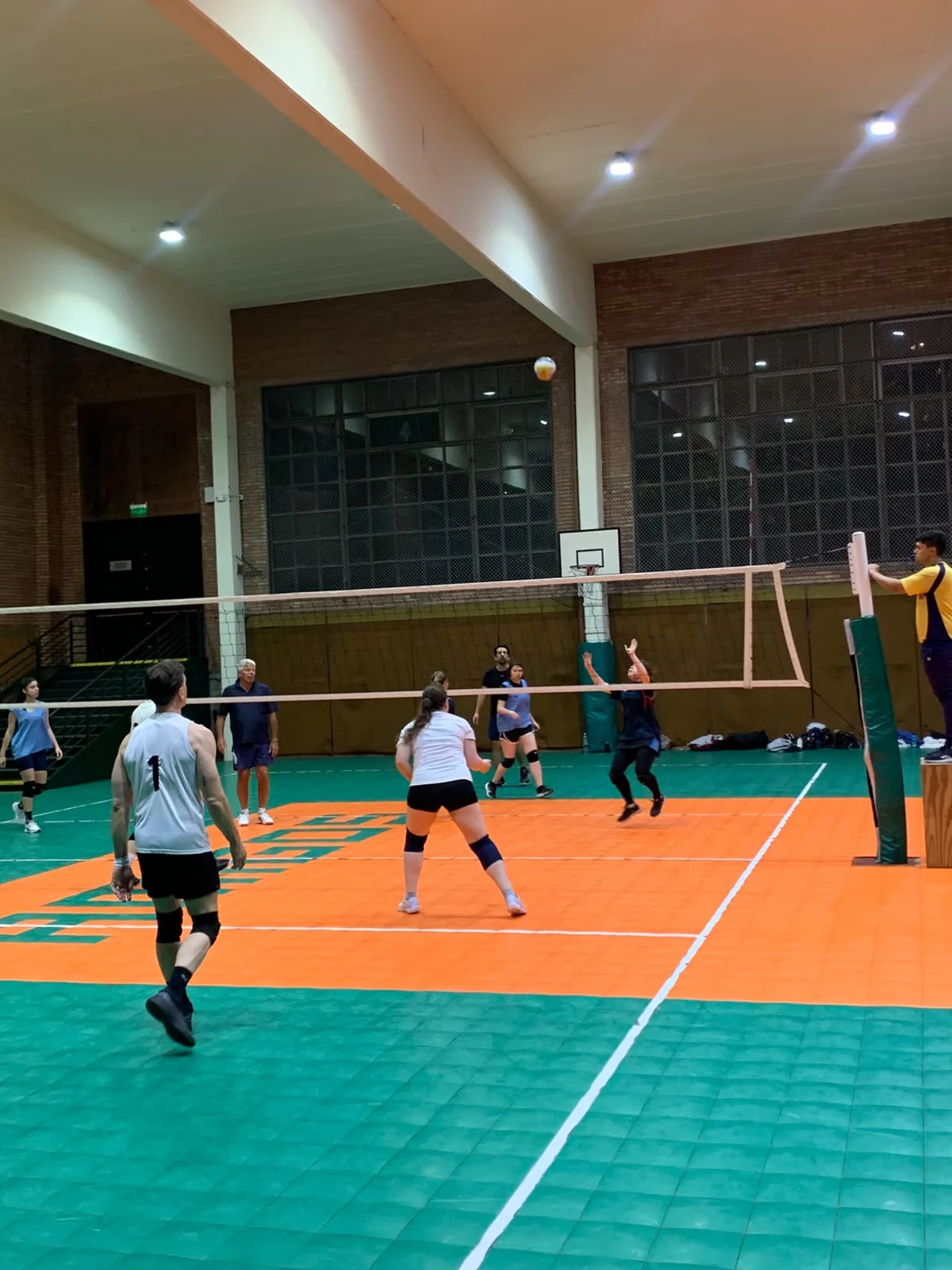 Voley