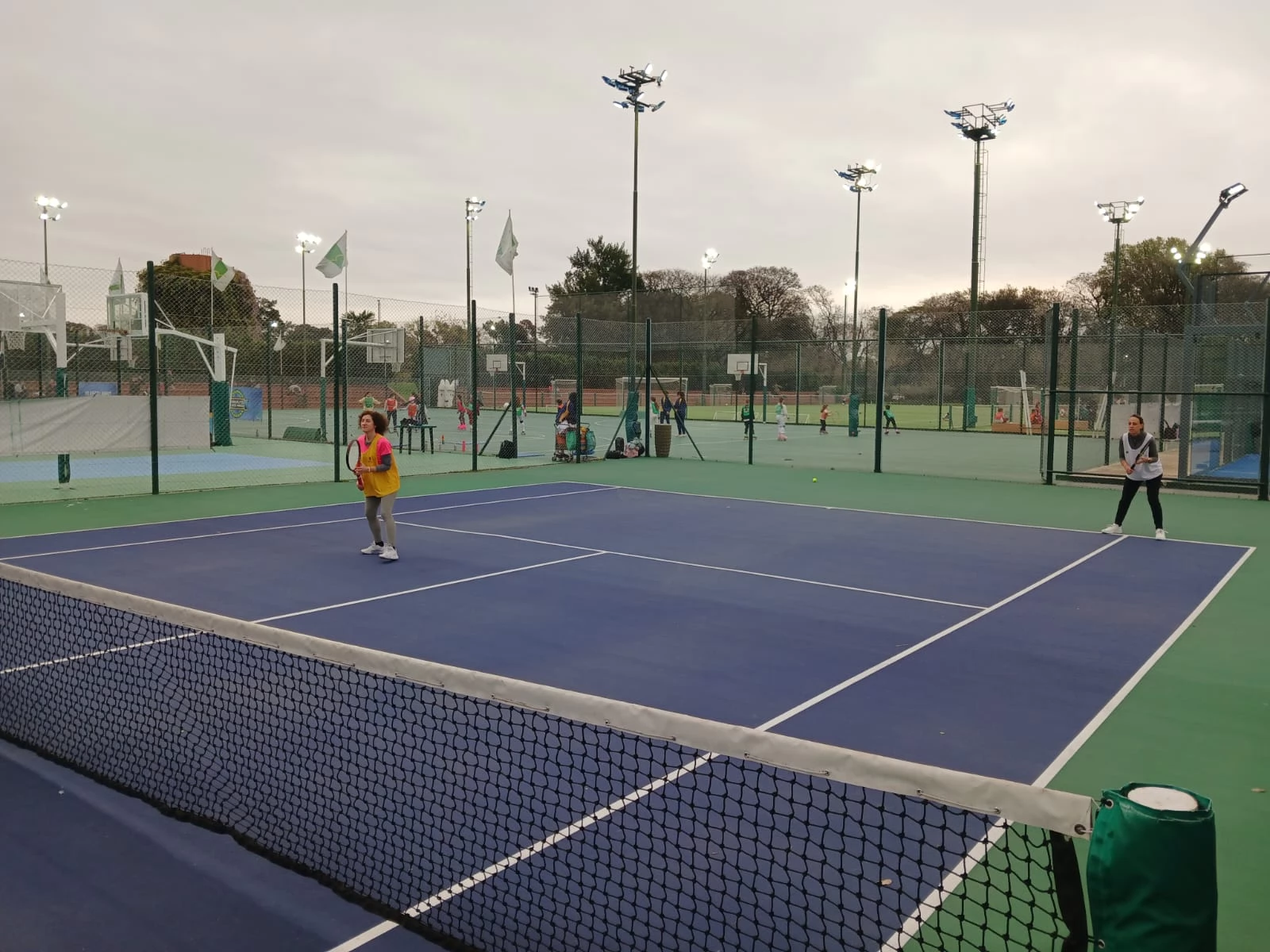 Tenis
