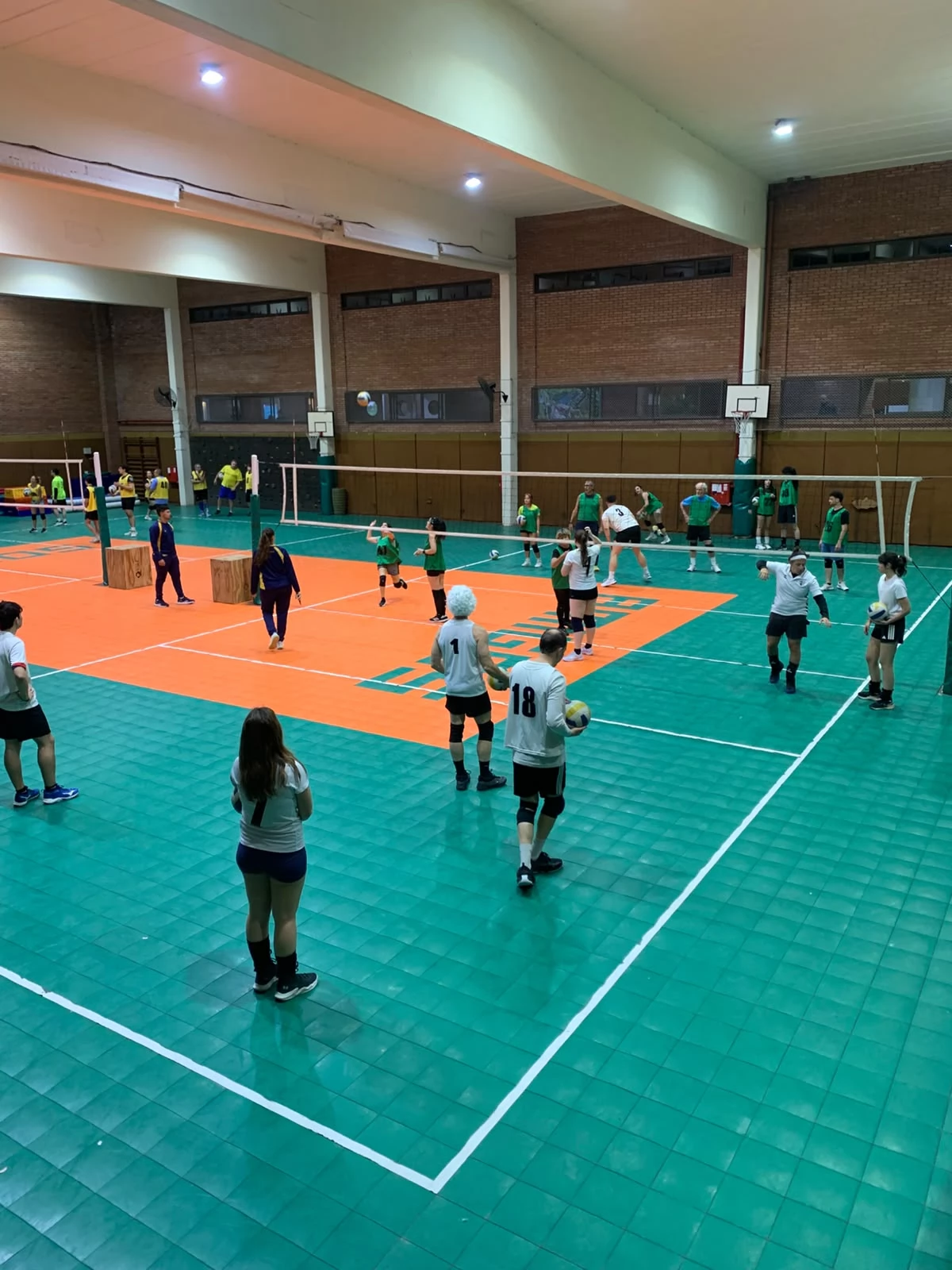 Voley