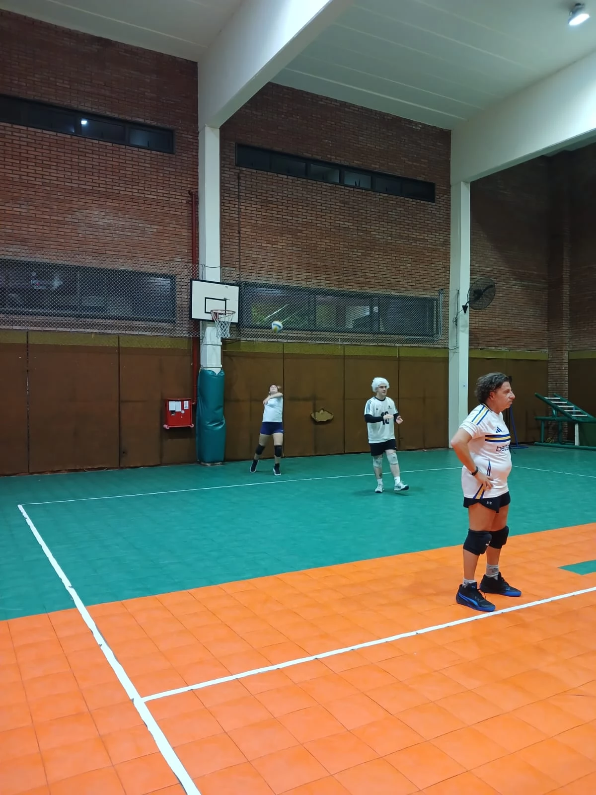 Voley