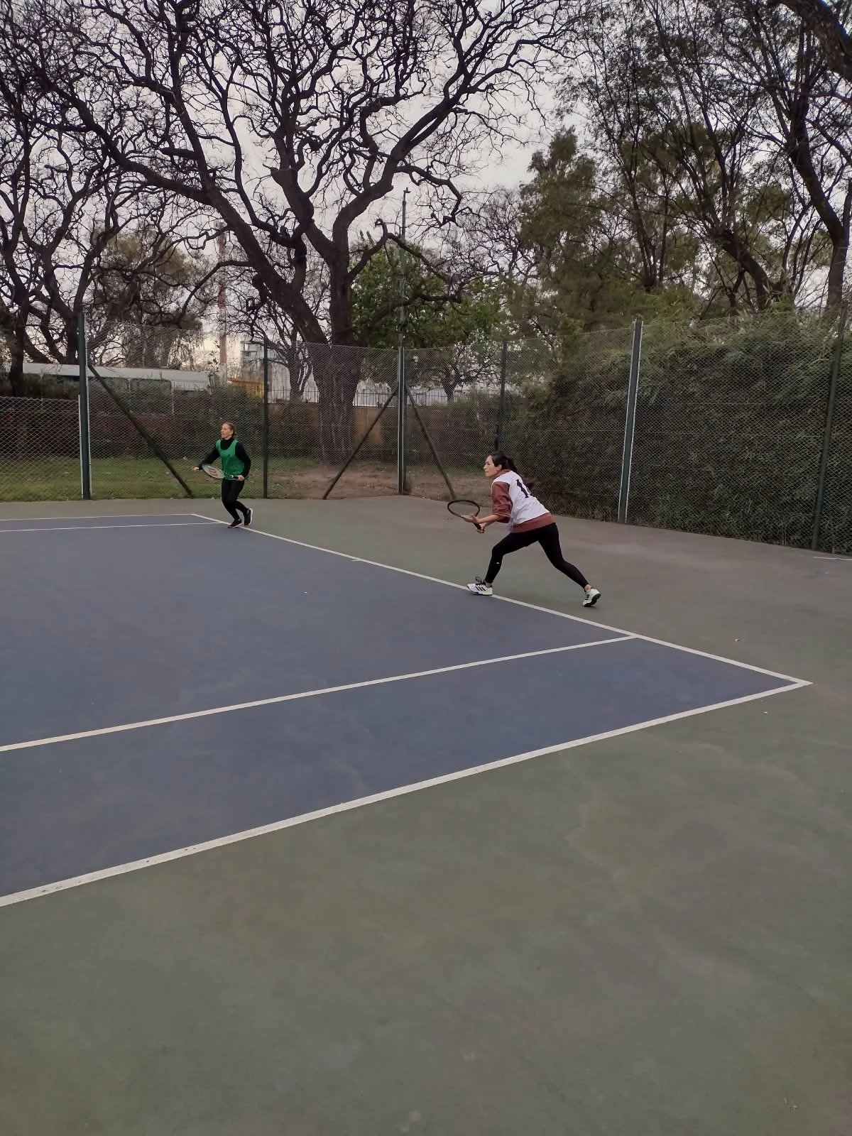 Tenis