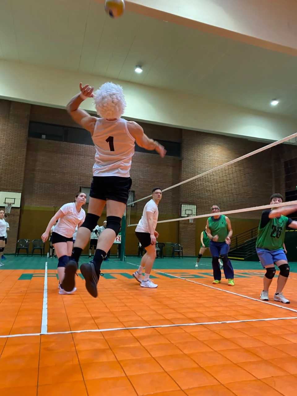 Voley