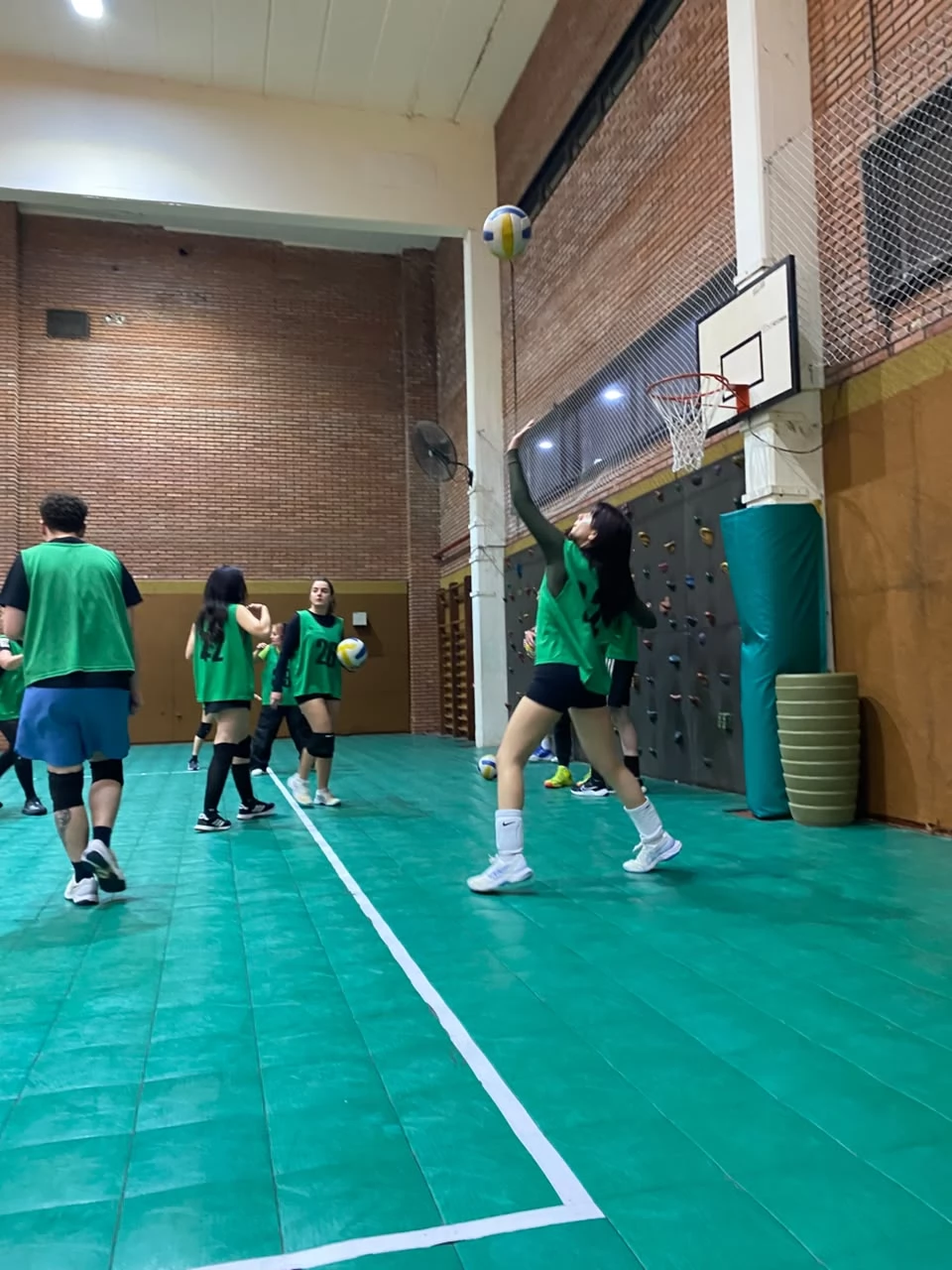 Voley