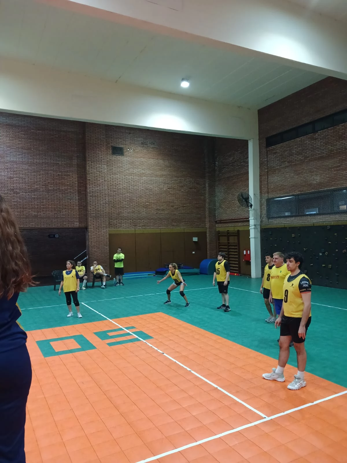 Voley