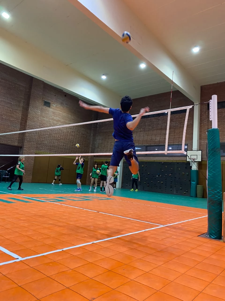 Voley