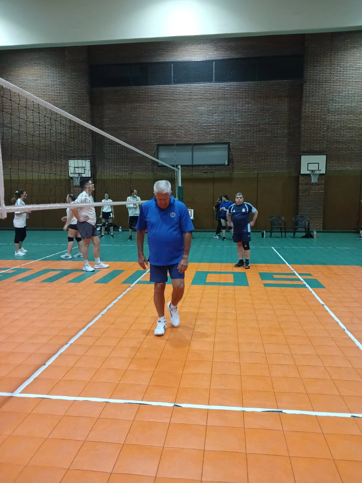 Voley