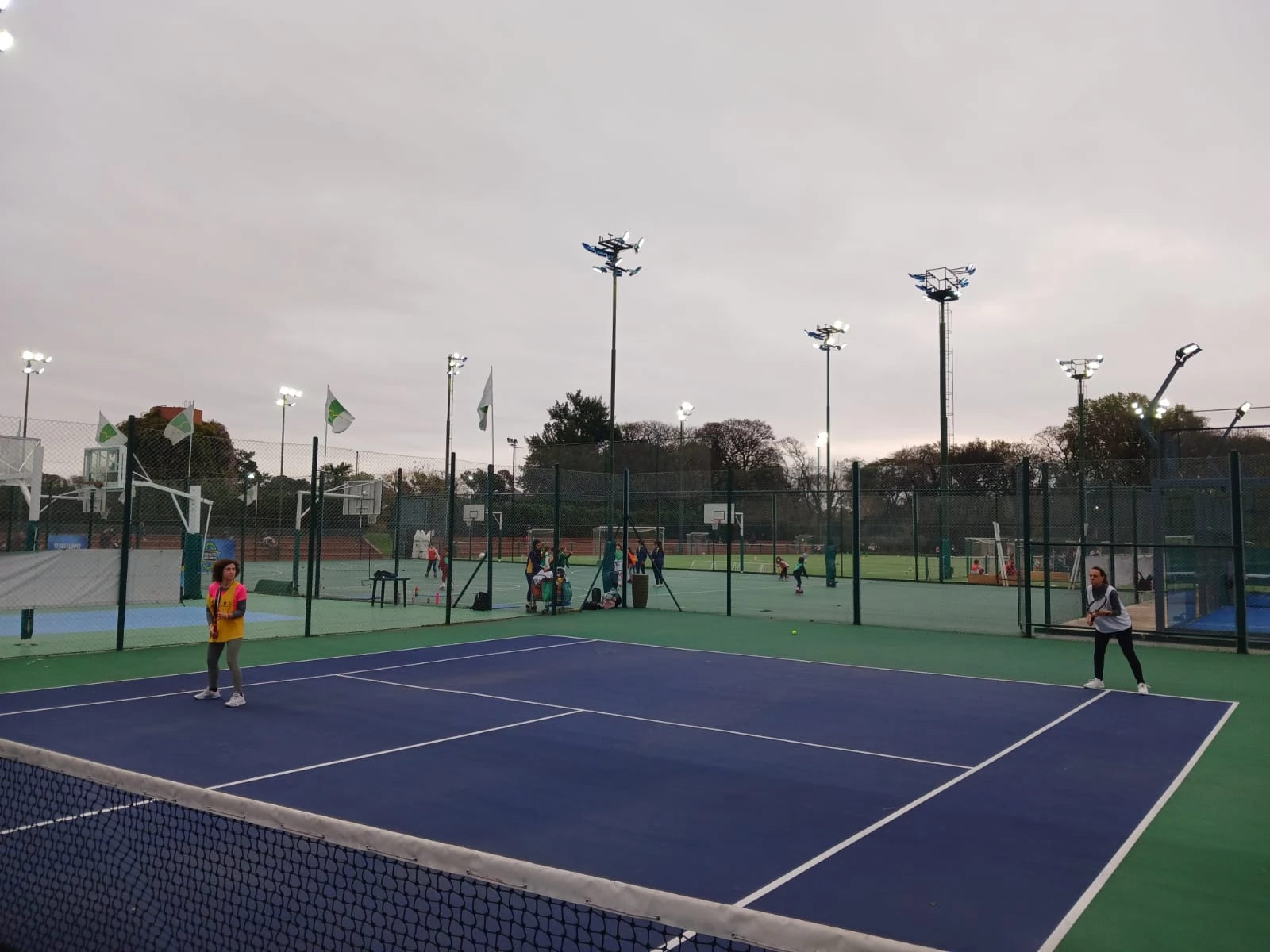 Tenis