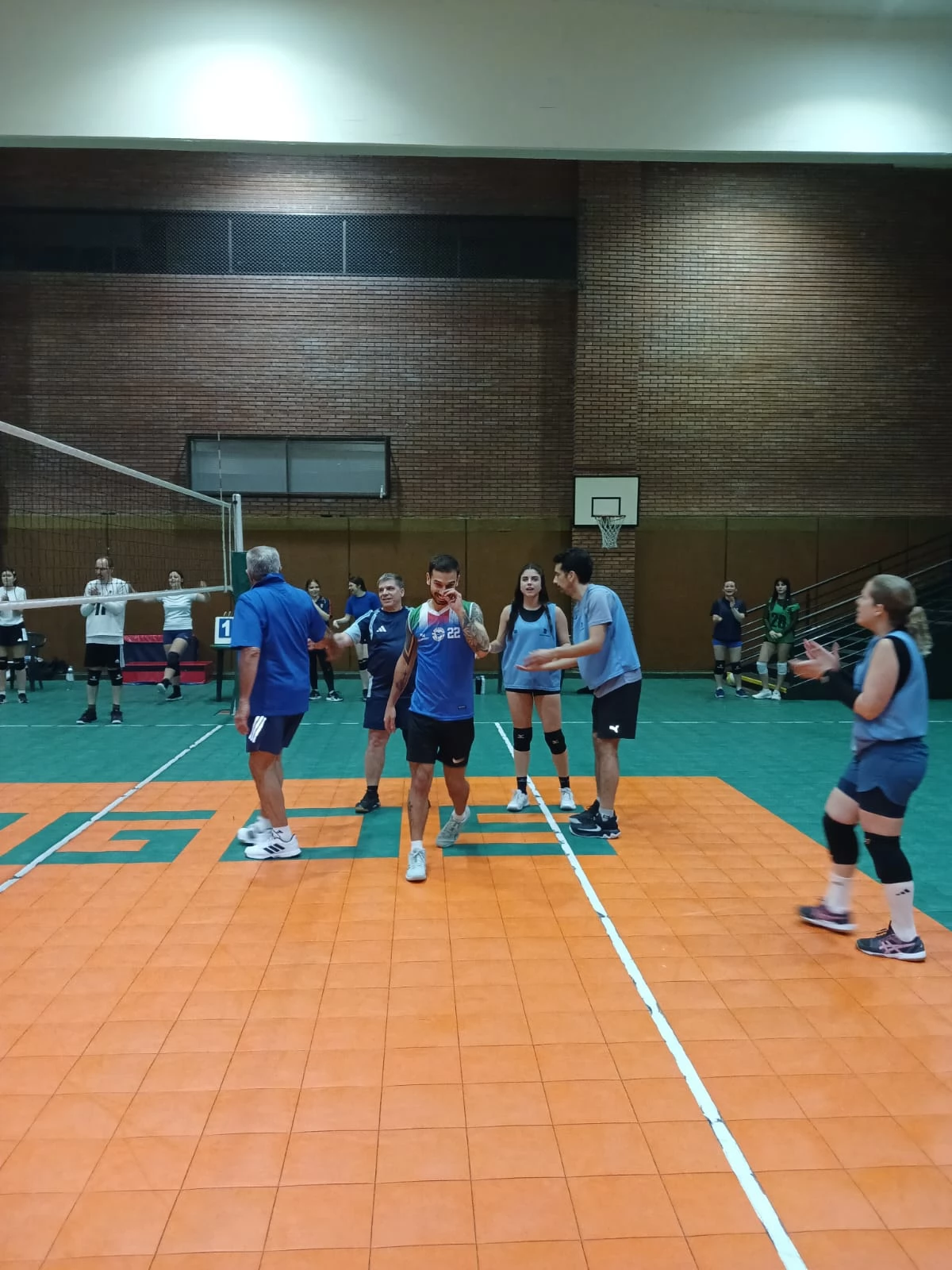 Voley