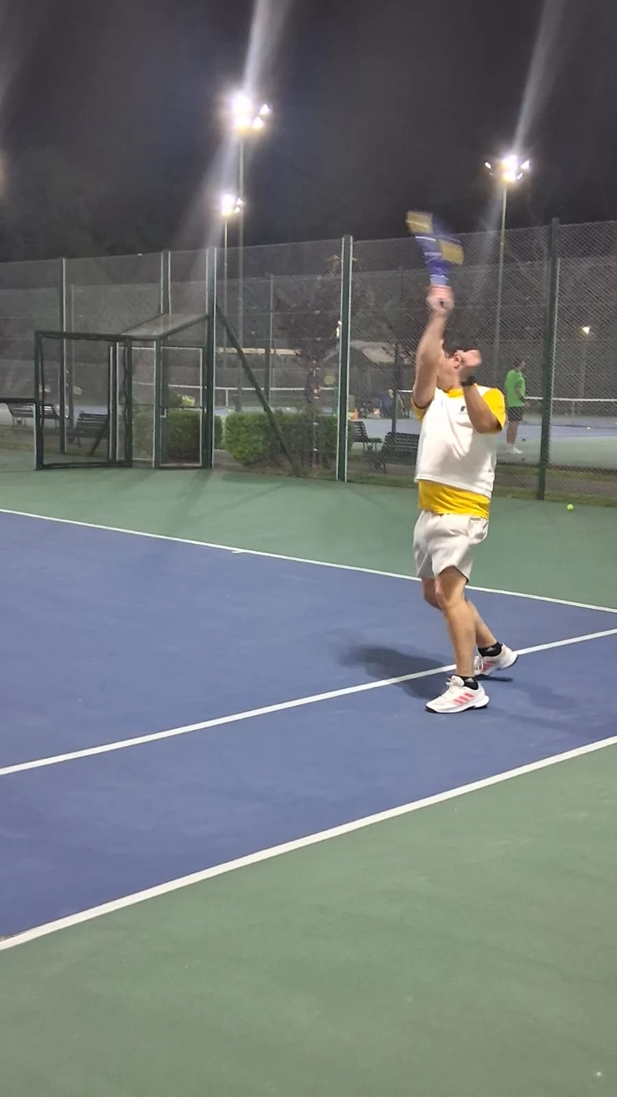 Tenis
