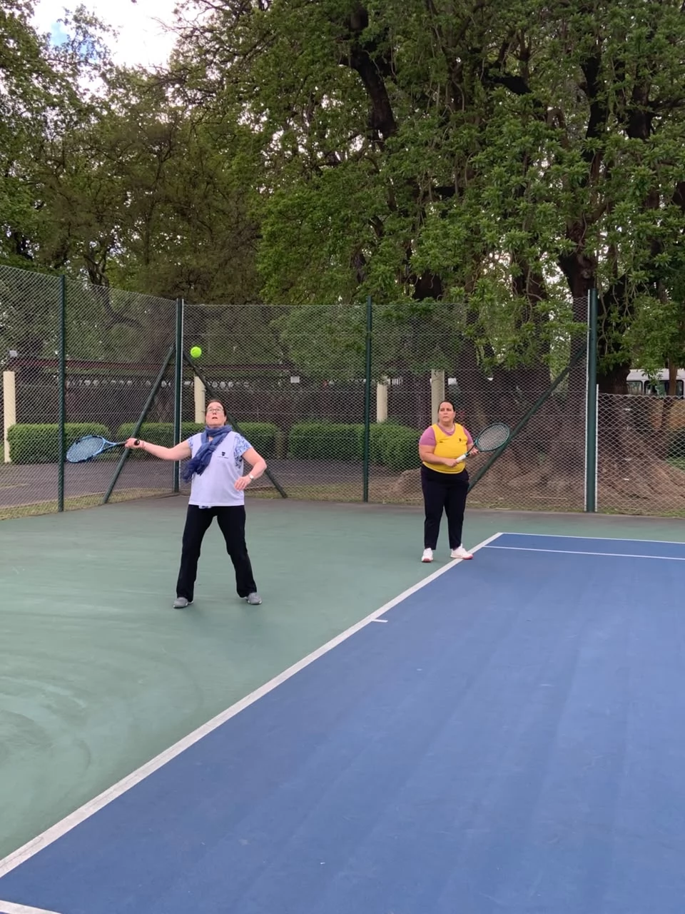 Tenis