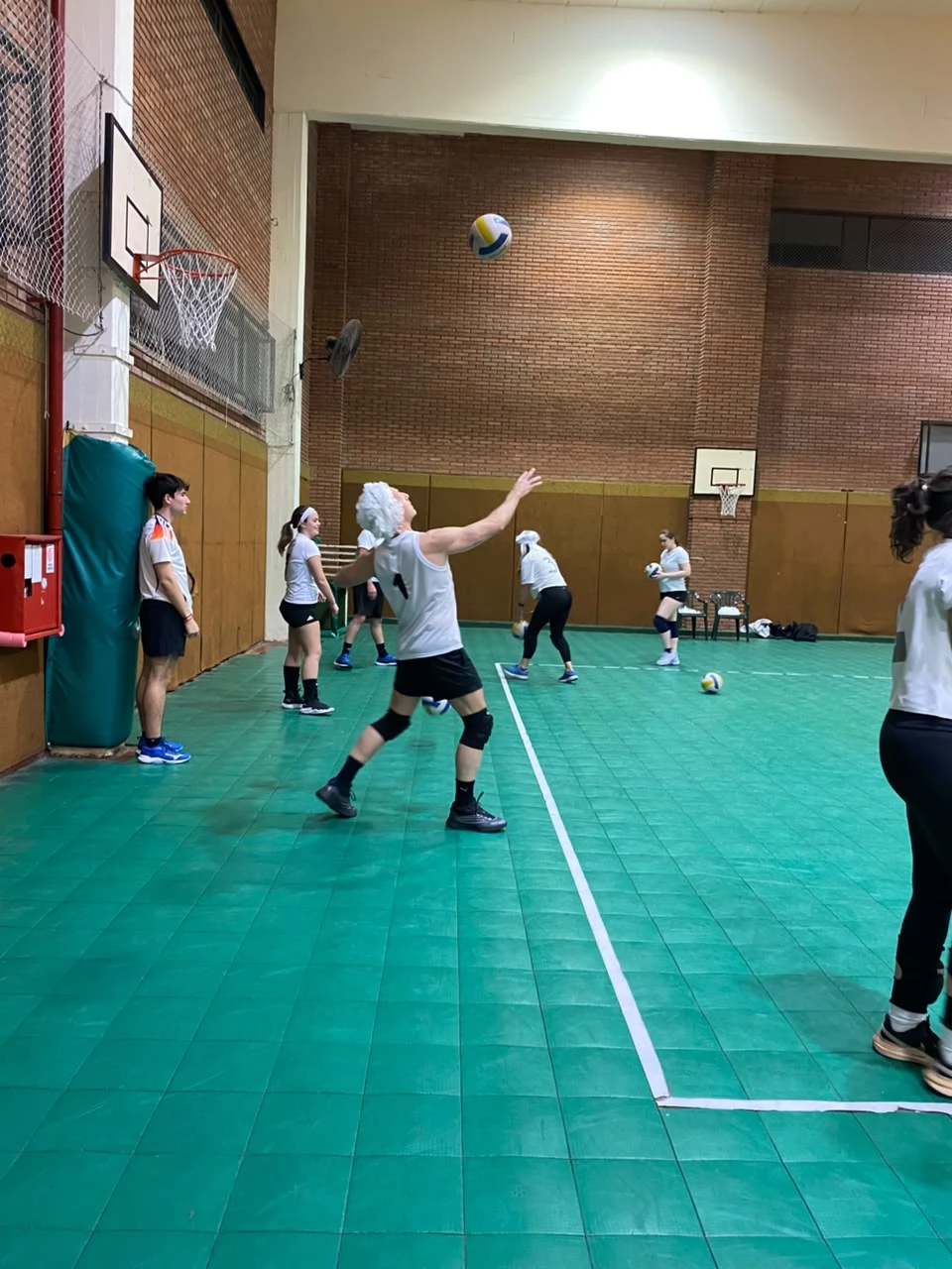 Voley