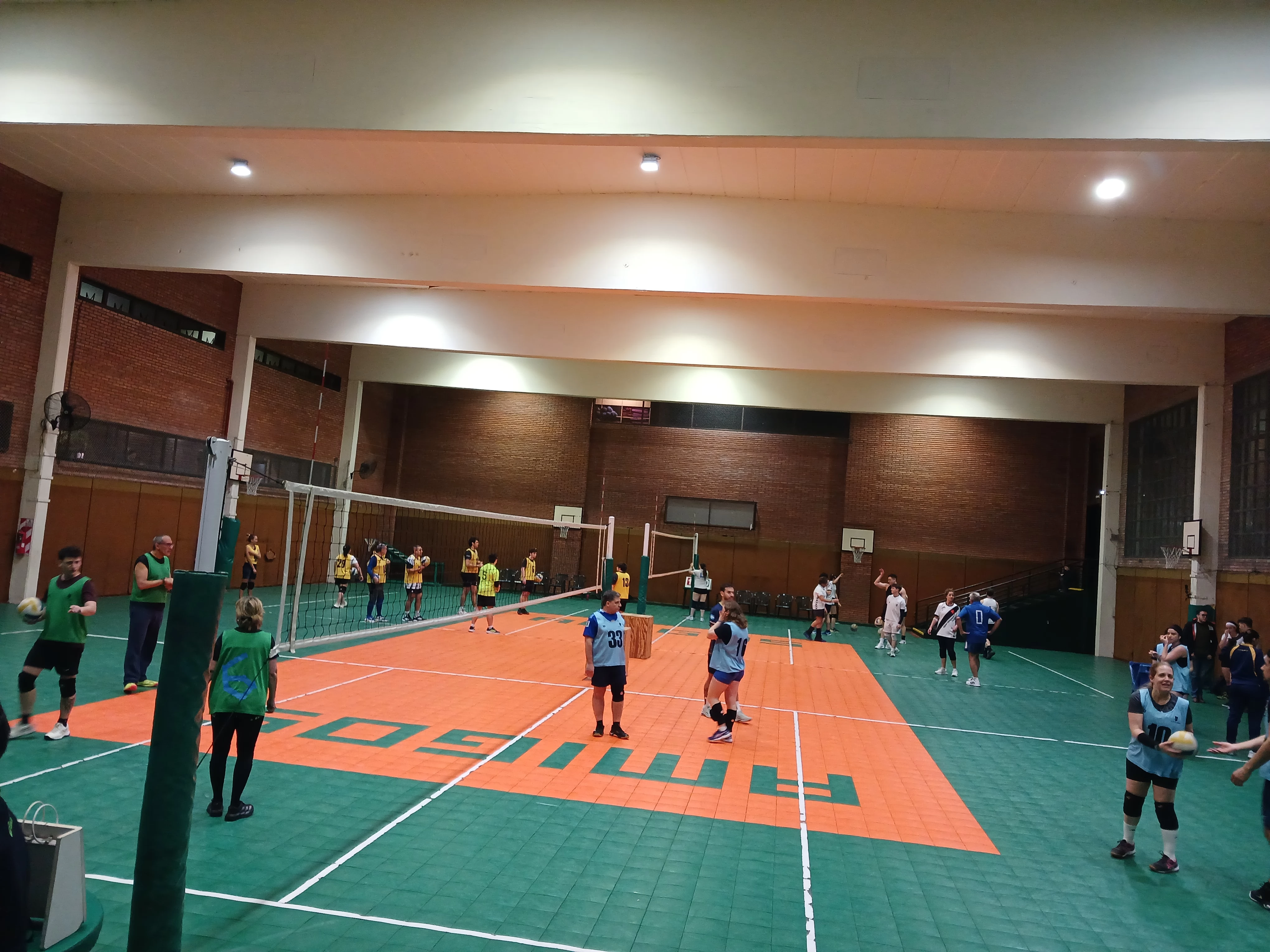 Voley