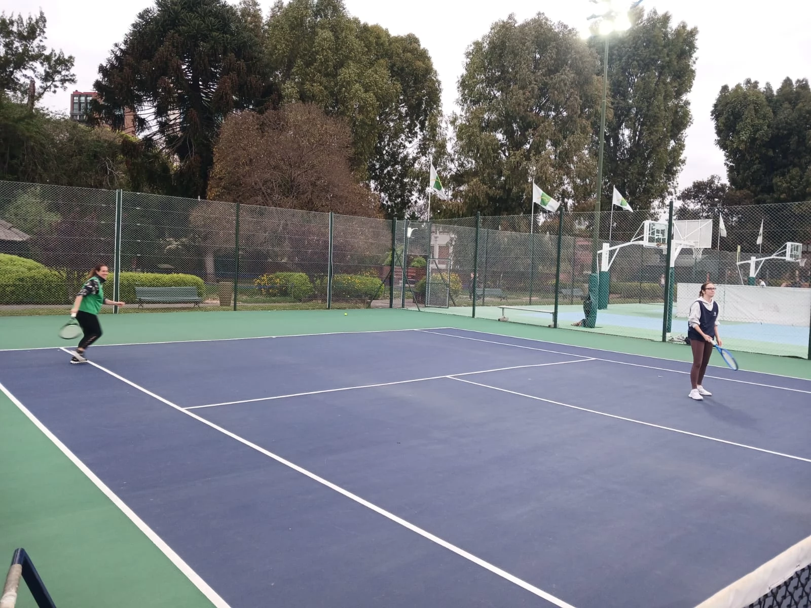 Tenis