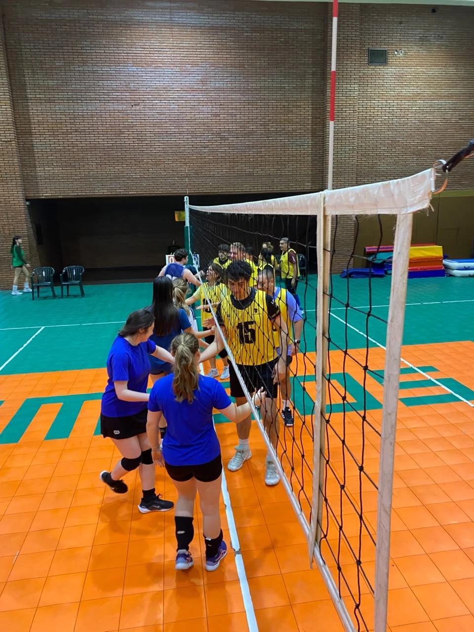 Voley